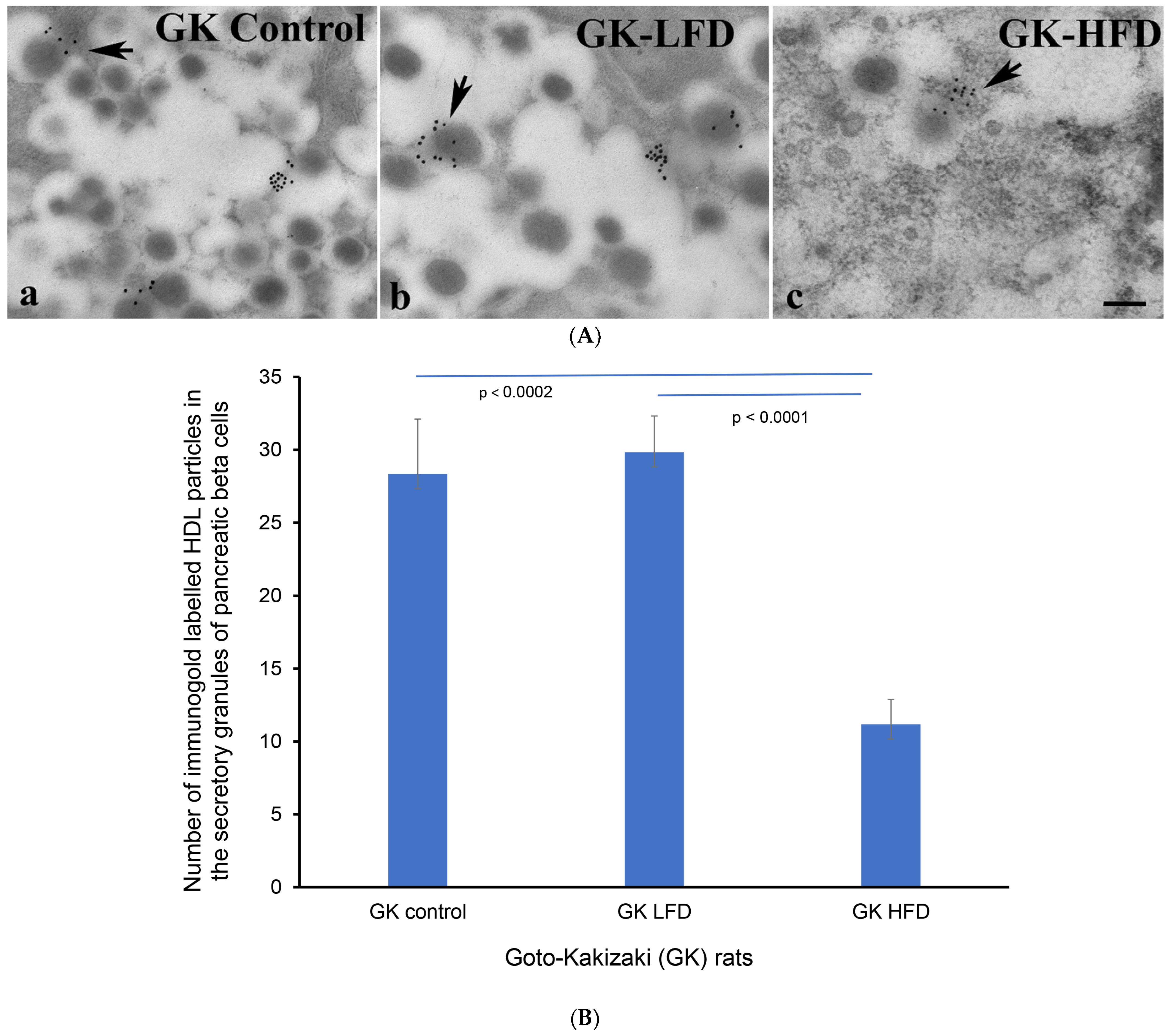 Nutrients 16 00313 g004