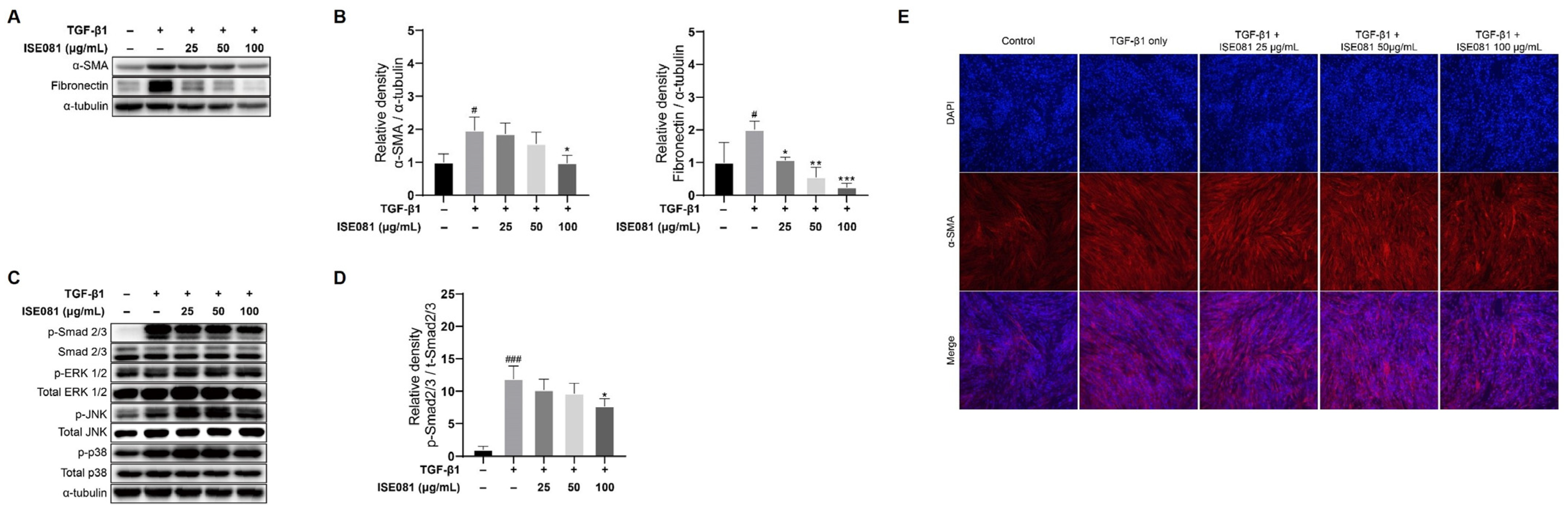 Nutrients 16 00319 g003