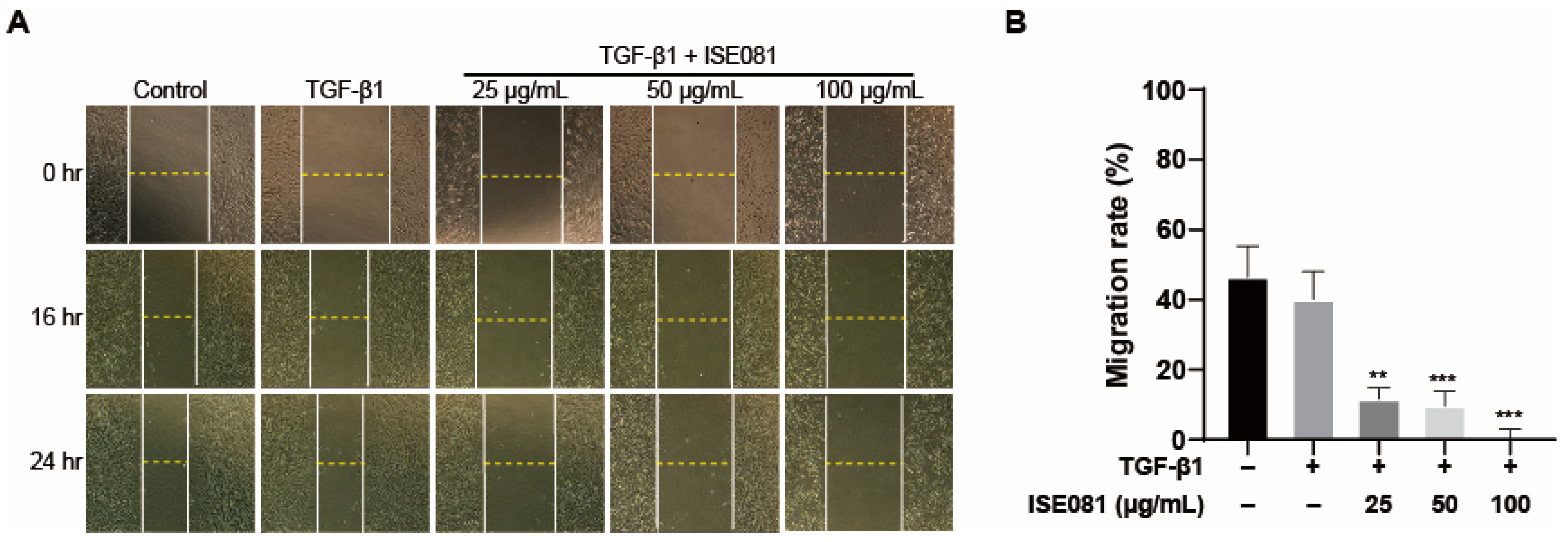 Nutrients 16 00319 g004