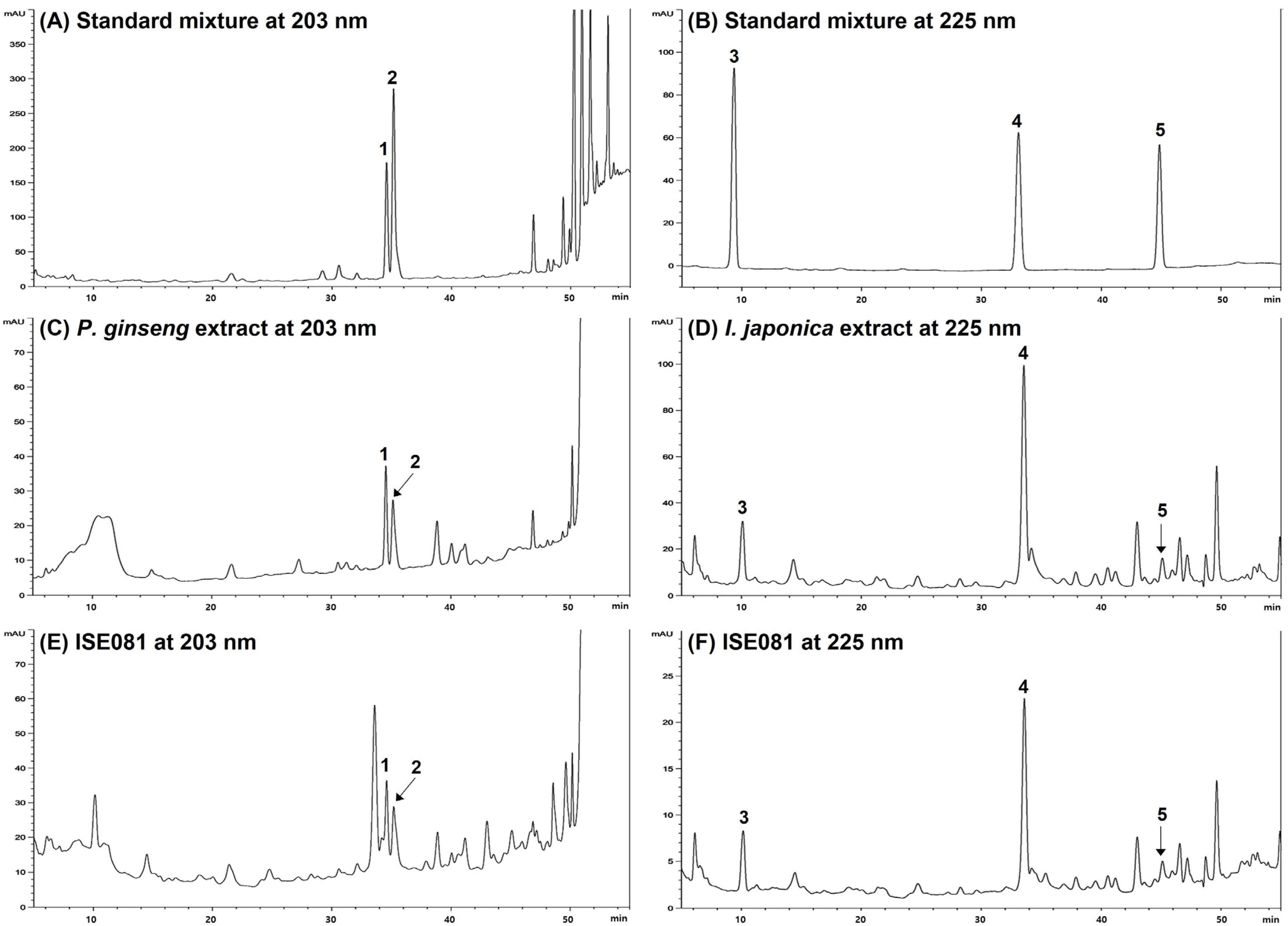 Nutrients 16 00319 g006