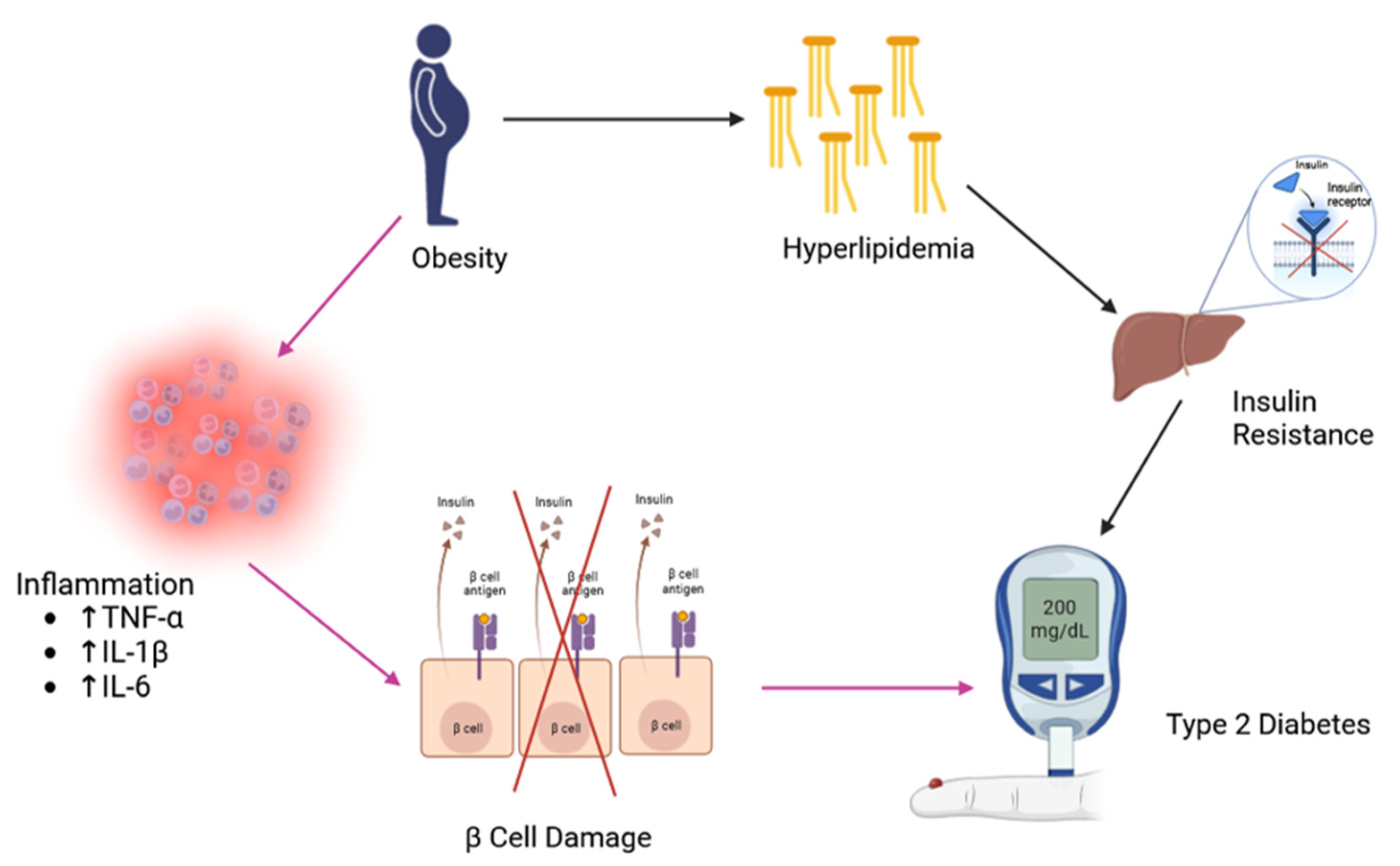 Nutrients 16 00329 g002 Nutrients 16 00329 g002