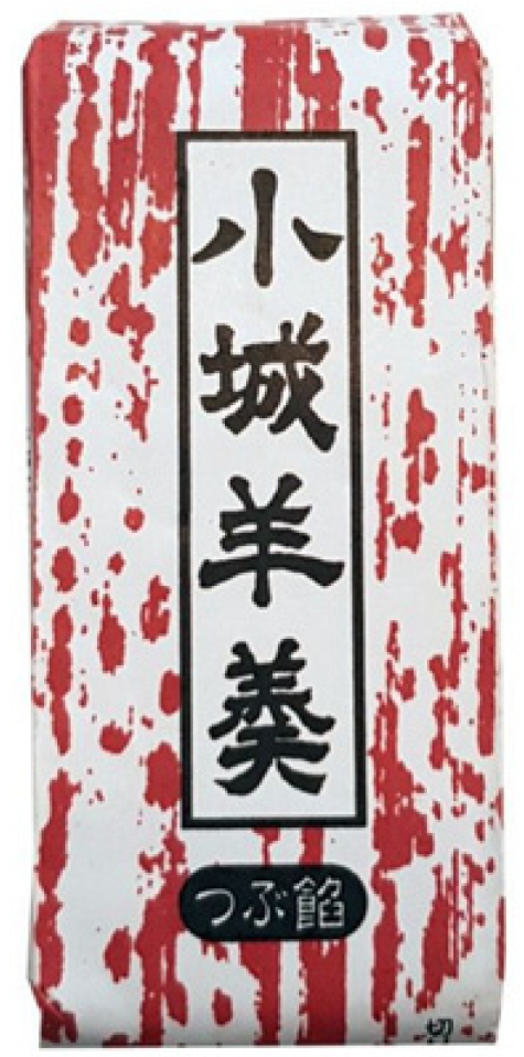 Nutrients 16 00329 i005 Nutrients 16 00329 i005