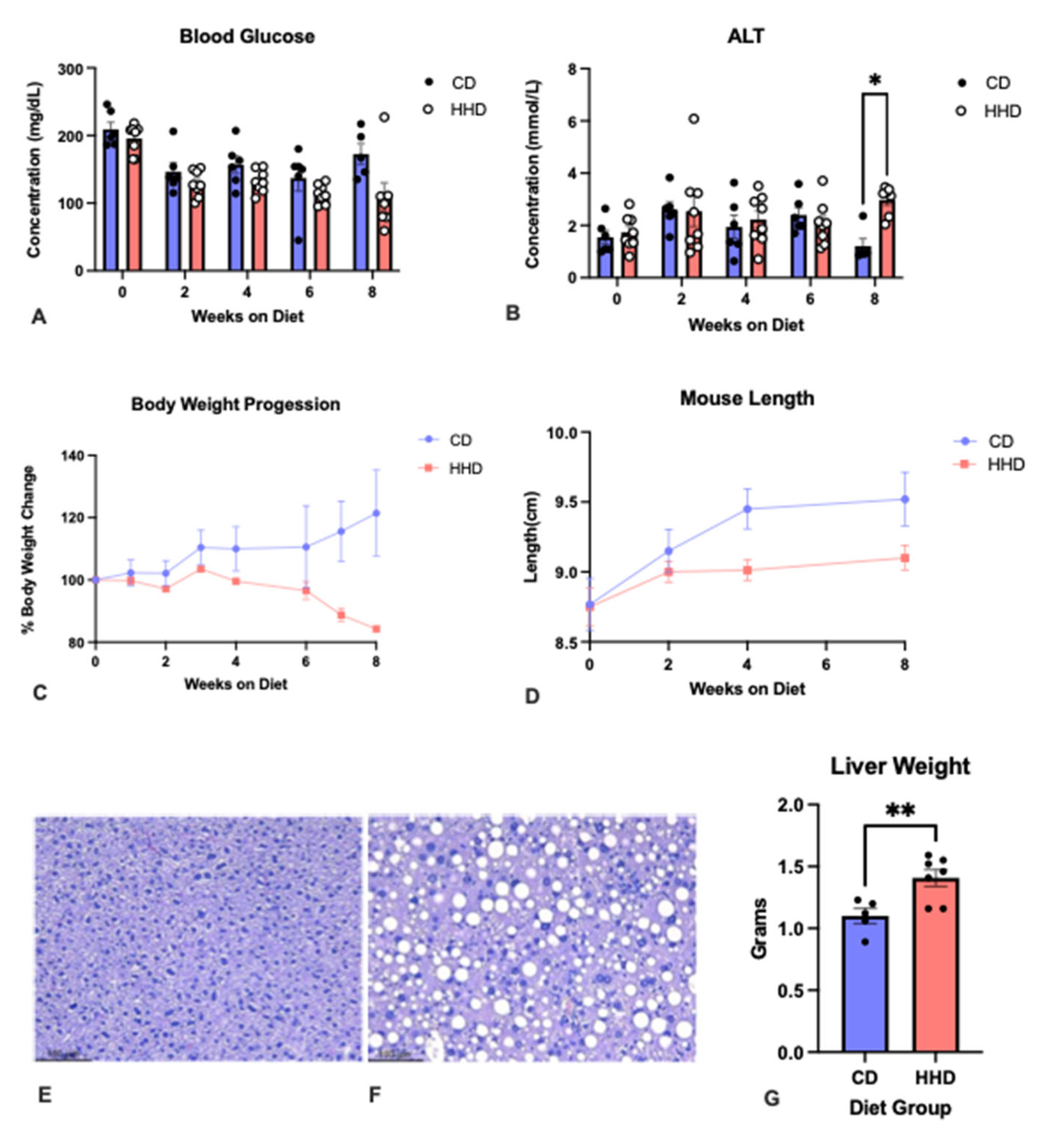 Nutrients 16 00330 g002 Nutrients 16 00330 g002