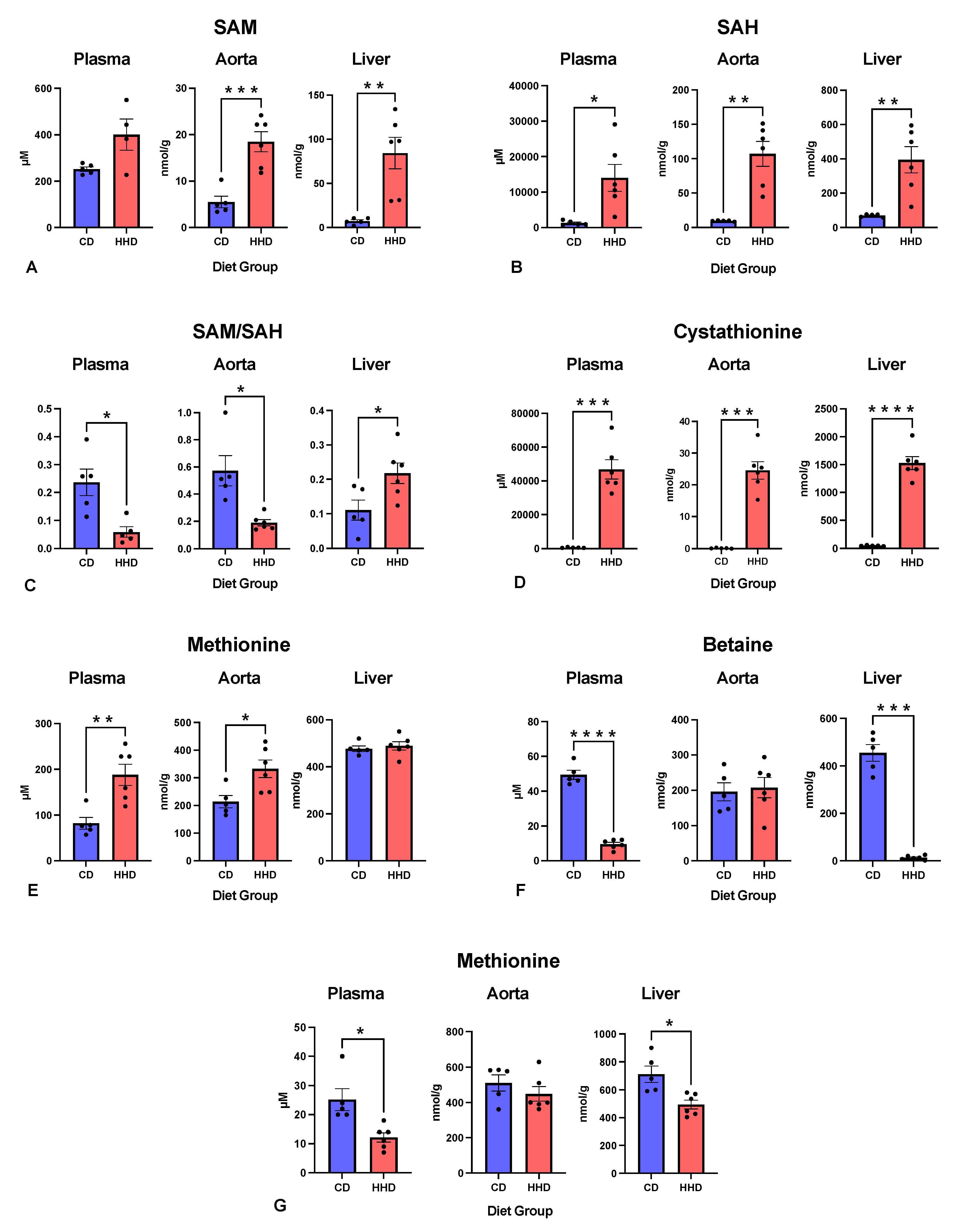 Nutrients 16 00330 g004 Nutrients 16 00330 g004