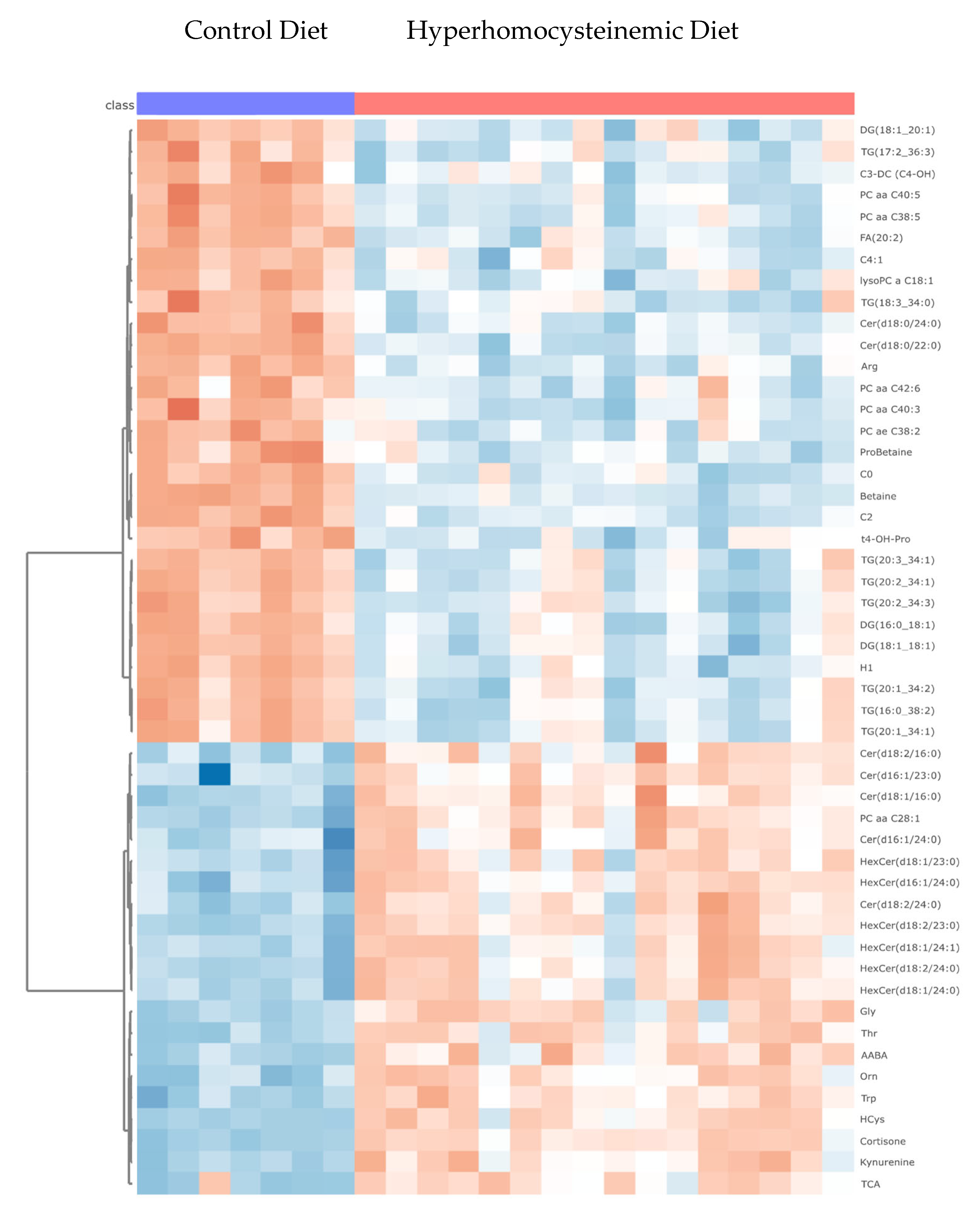 Nutrients 16 00330 g005 Nutrients 16 00330 g005