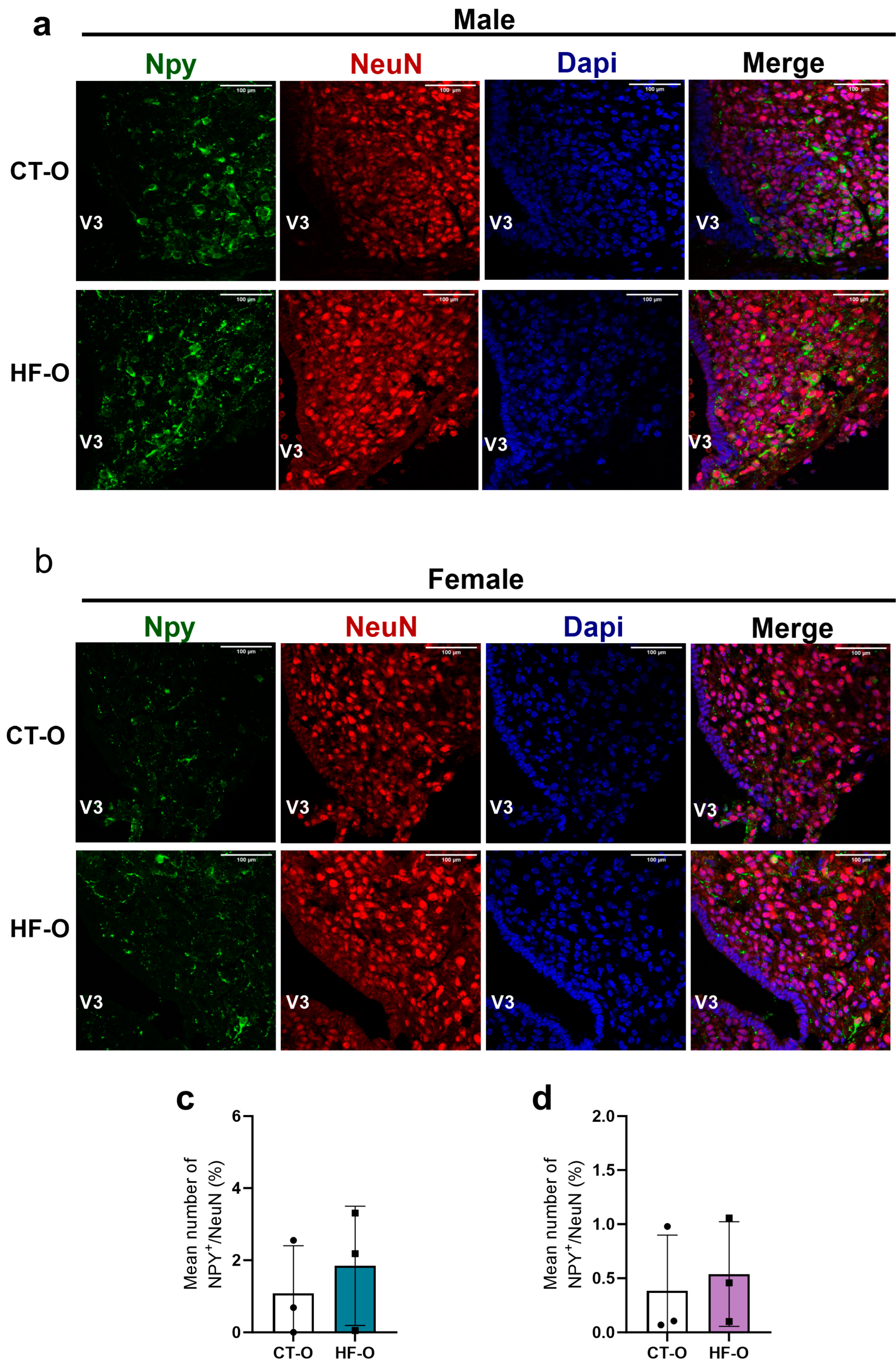 Nutrients 16 00340 g010 Nutrients 16 00340 g010