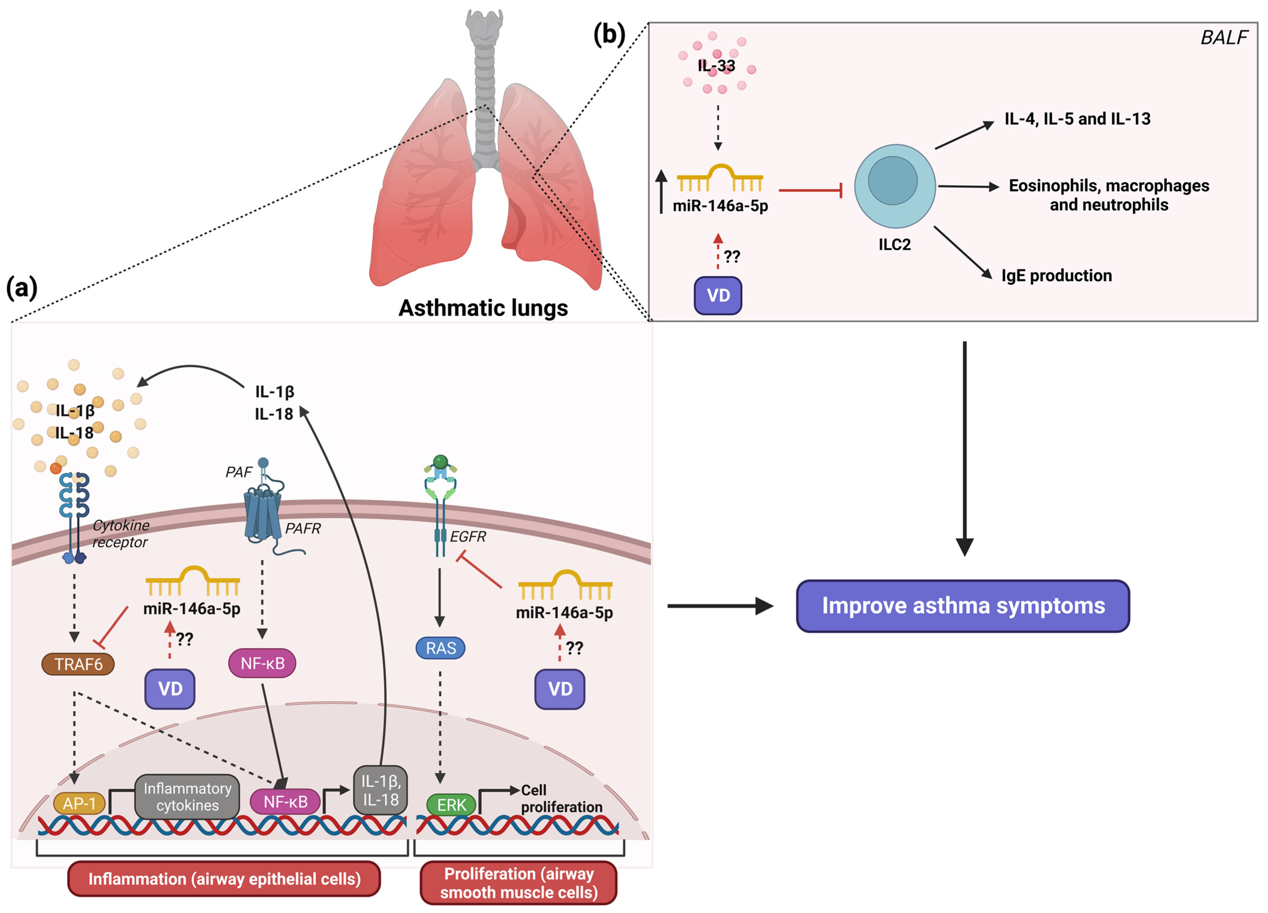Nutrients 16 00341 g003