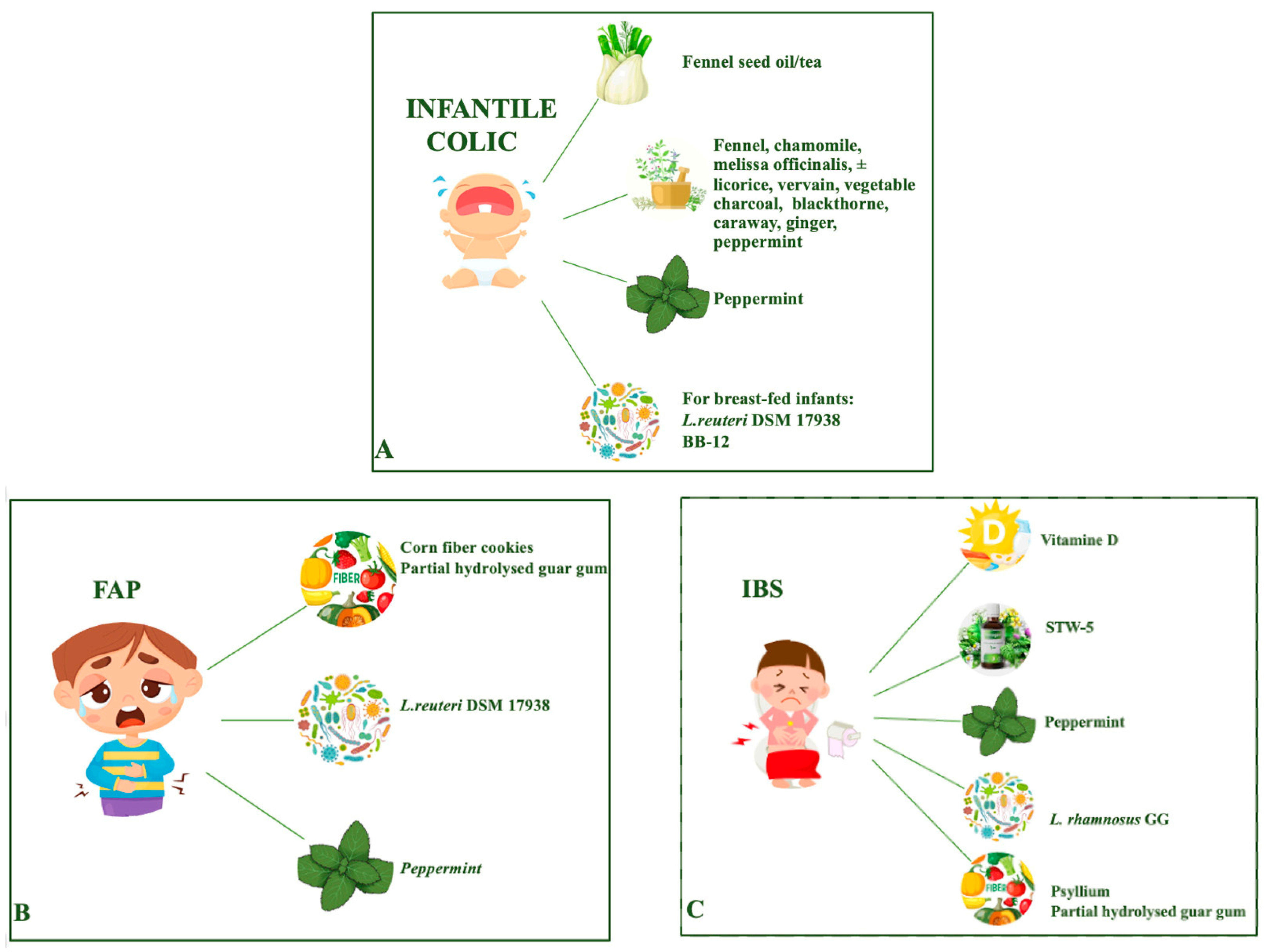 Nutrients 16 00349 g001 Nutrients 16 00349 g001