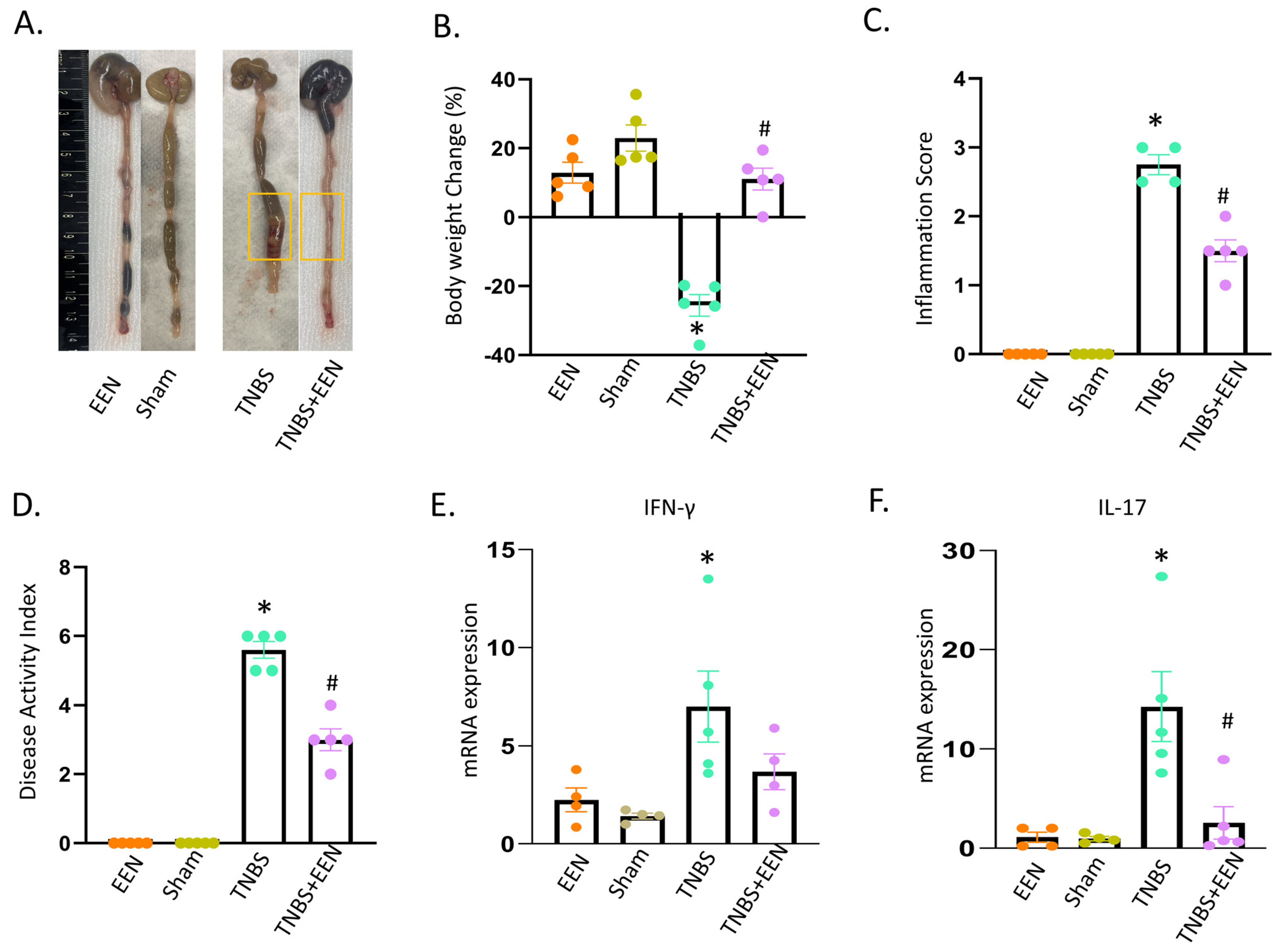 Nutrients 16 00363 g001