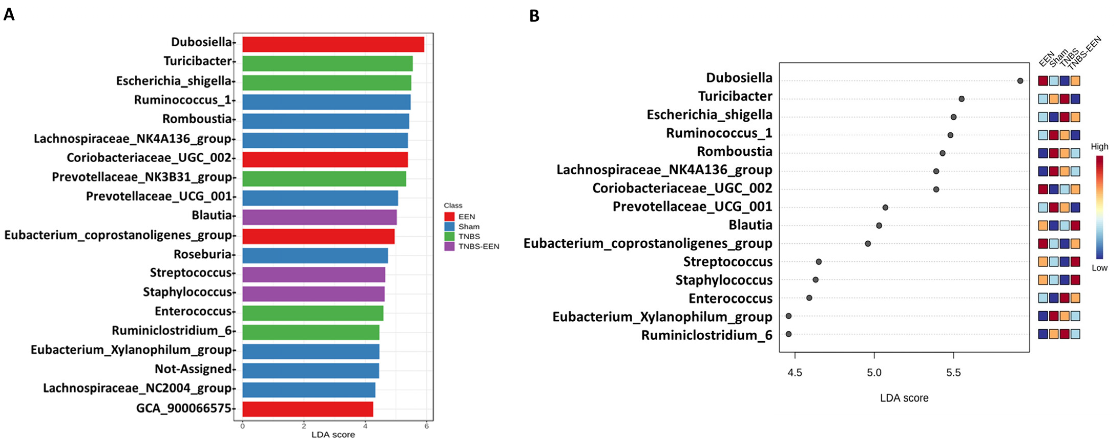Nutrients 16 00363 g005