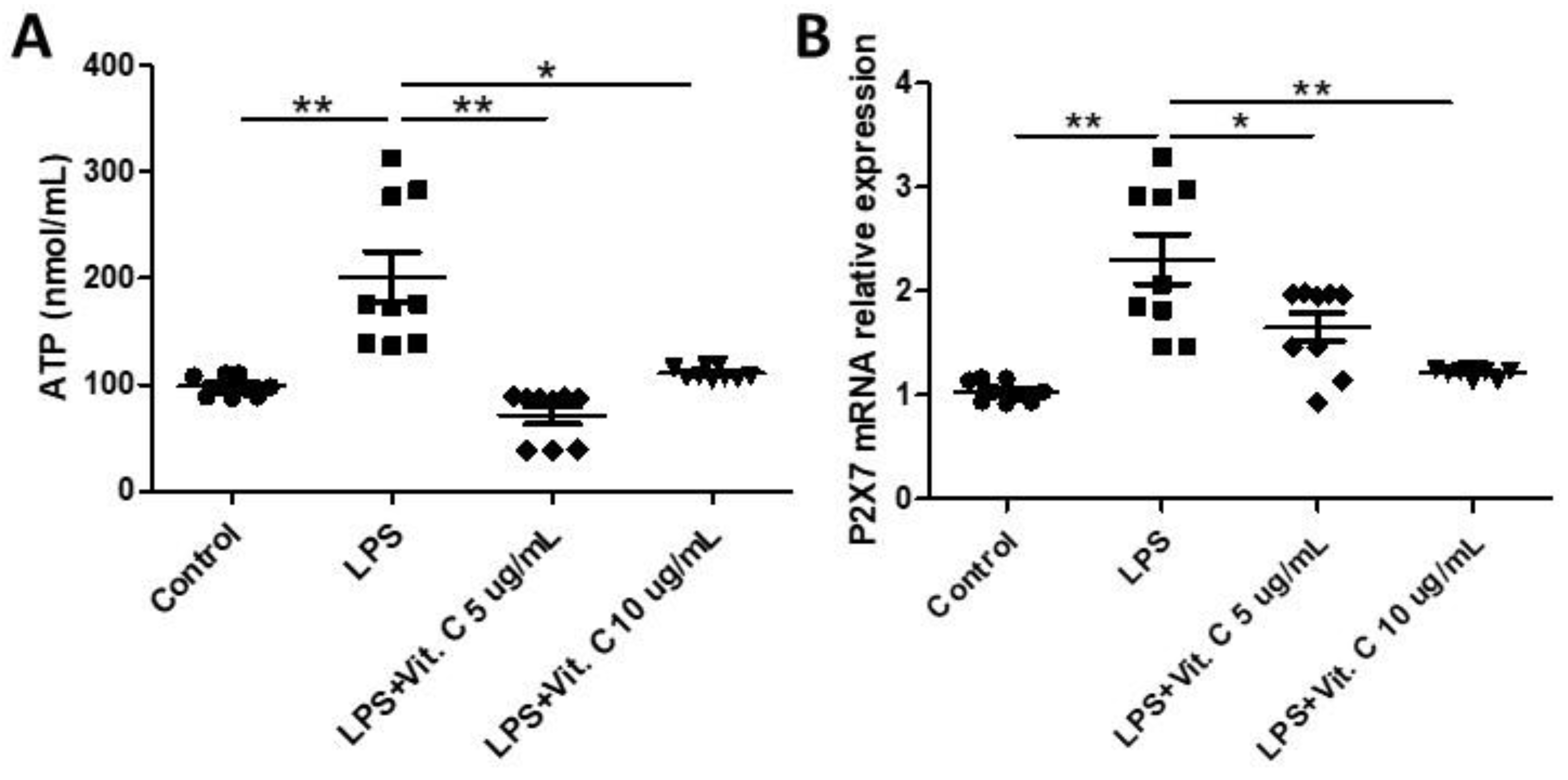 Nutrients 16 00383 g003