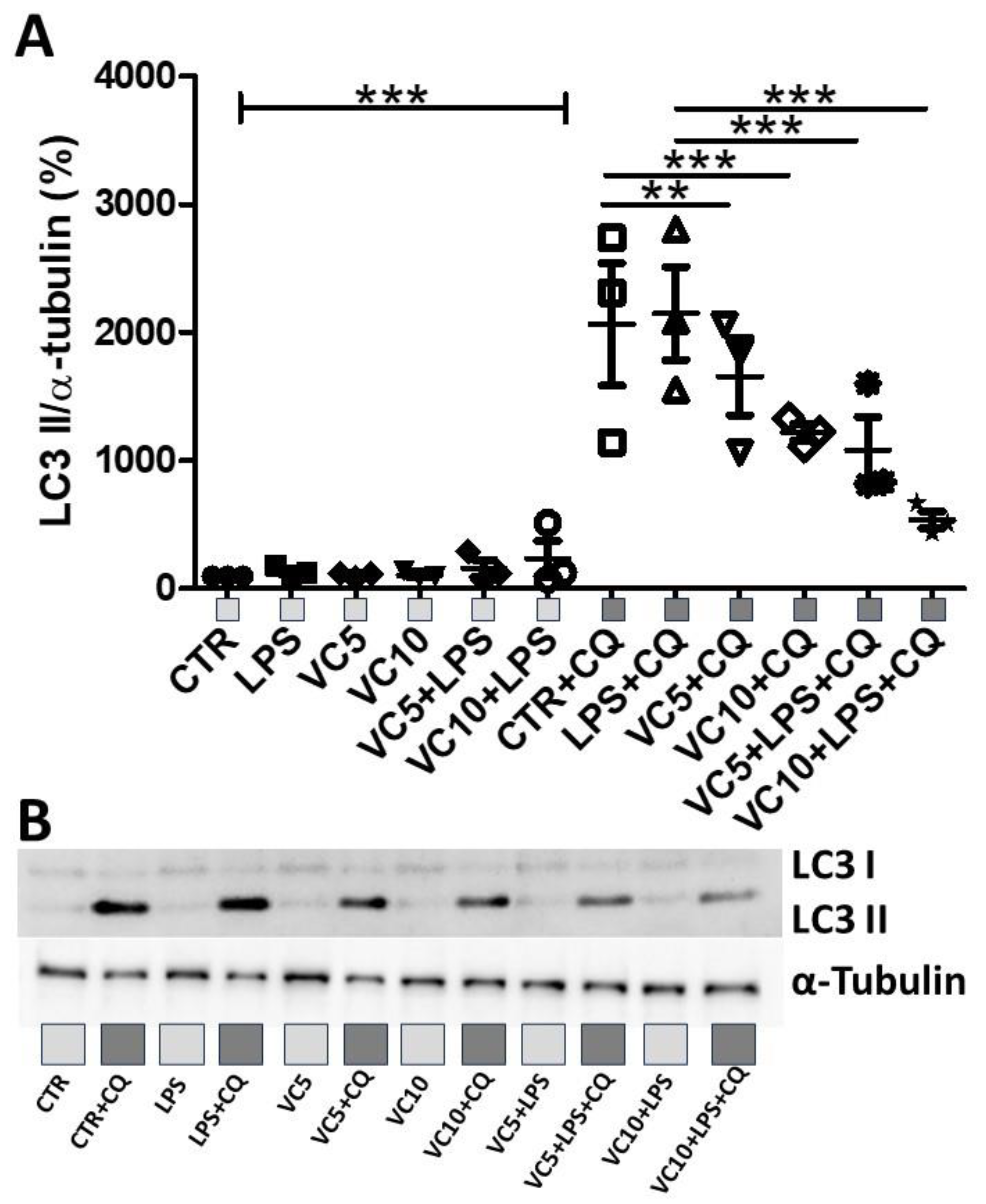 Nutrients 16 00383 g004