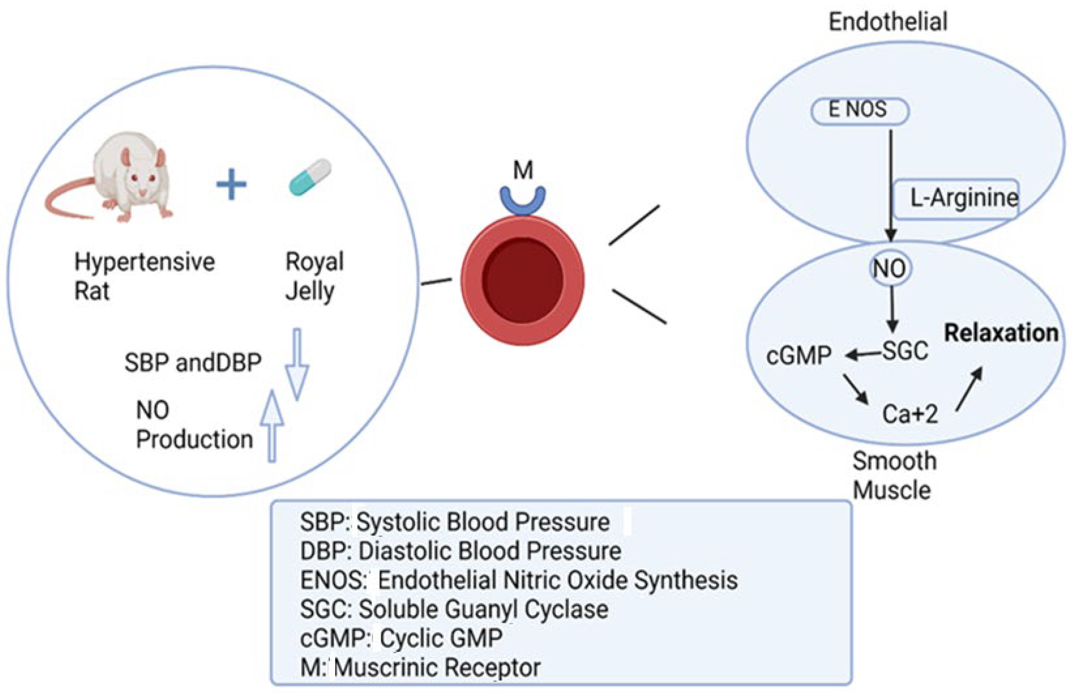 Nutrients 16 00393 g005