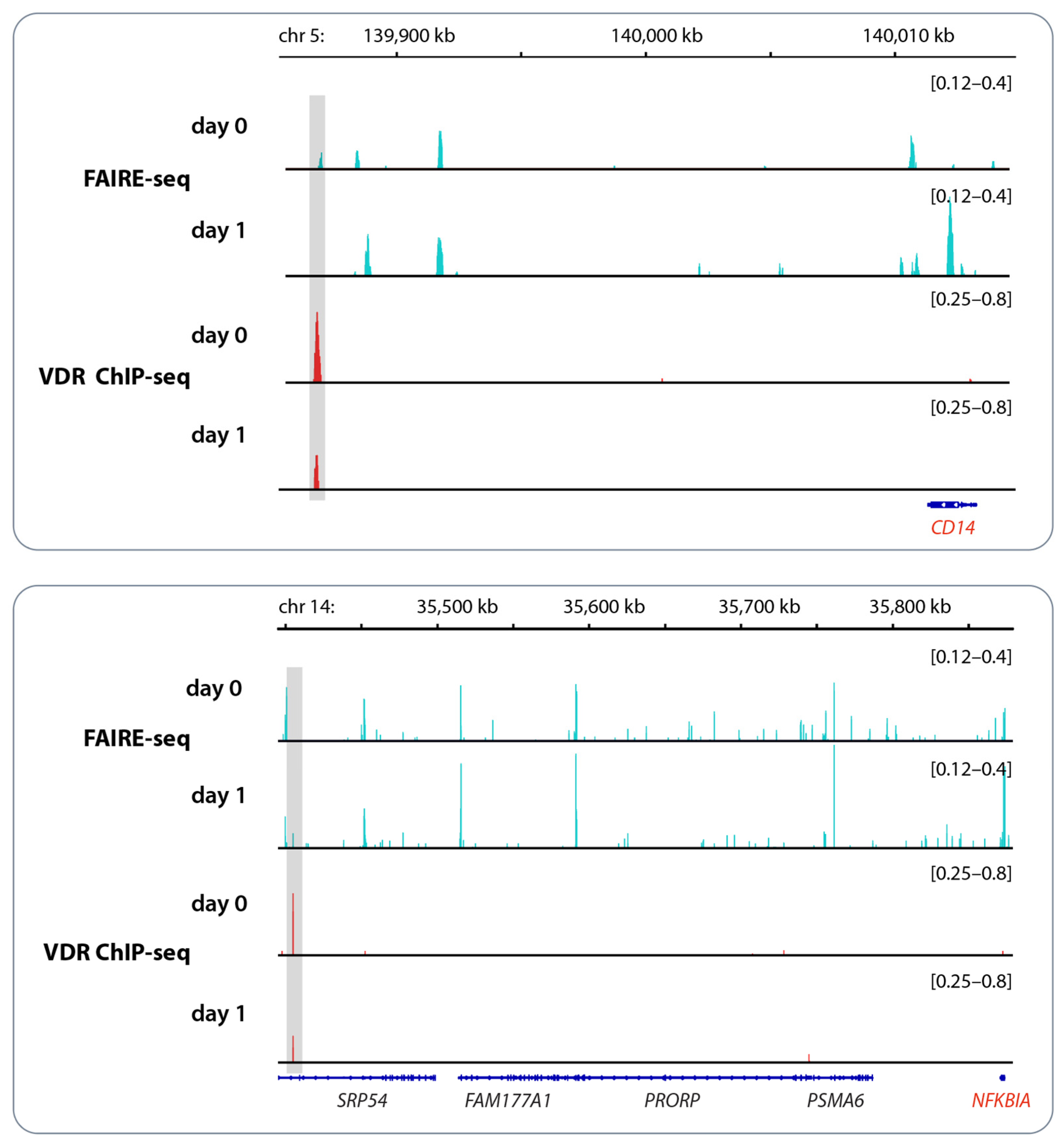 Nutrients 16 00398 g002