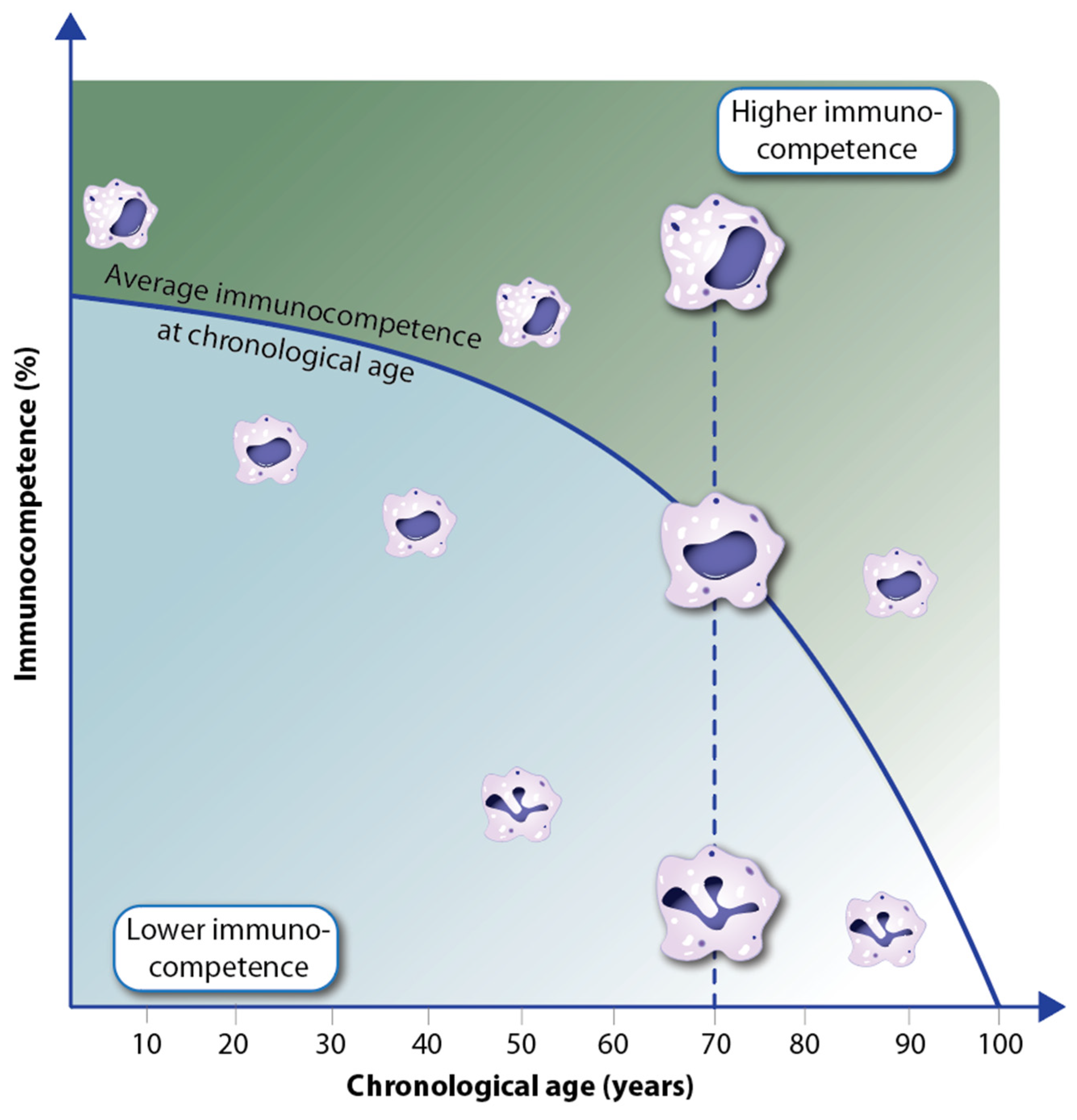 Nutrients 16 00398 g005