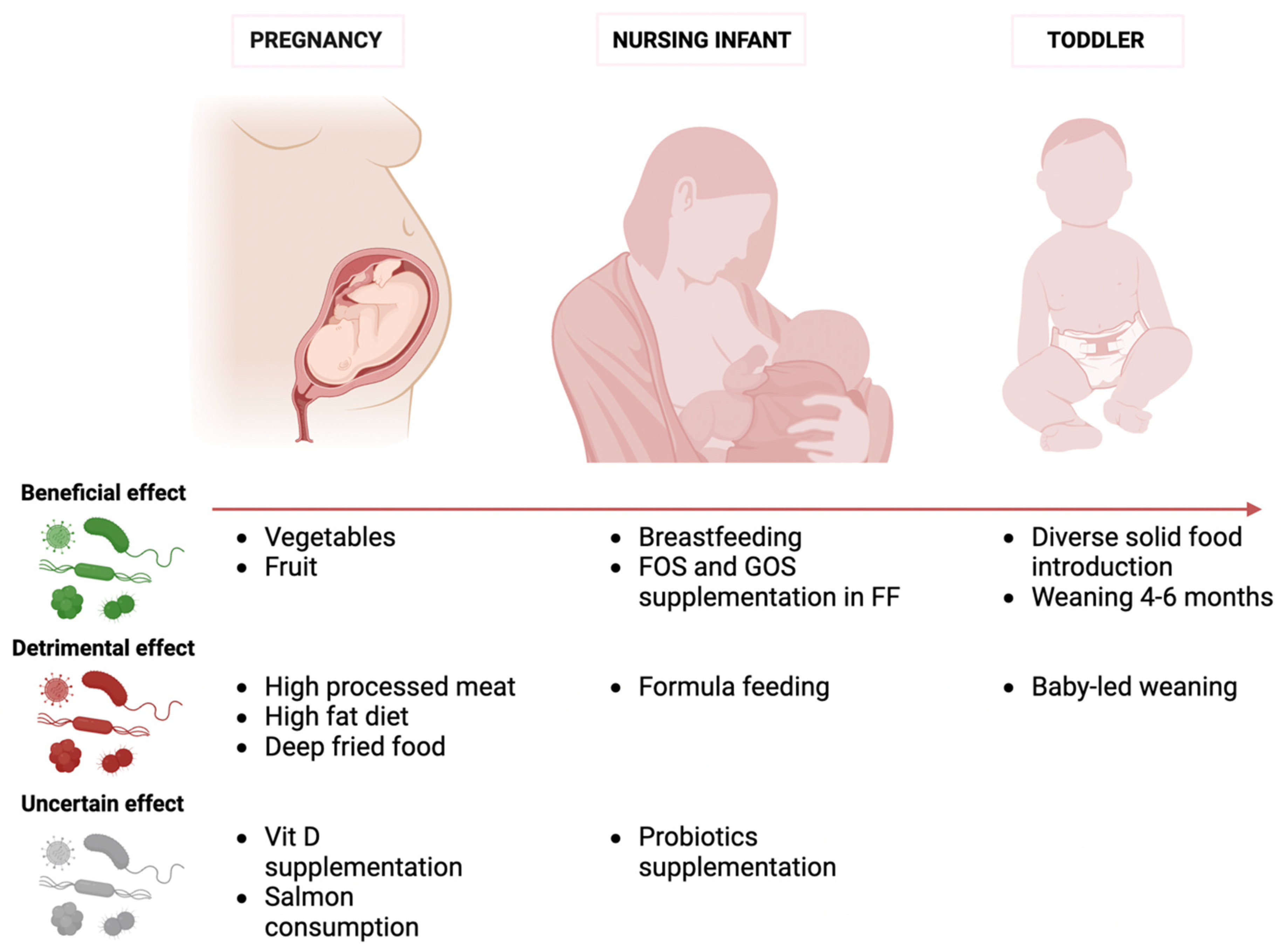 Nutrients 16 00400 g002