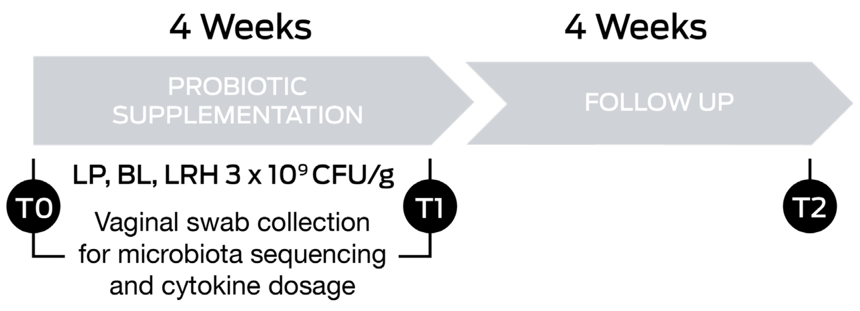 Nutrients 16 00402 g001