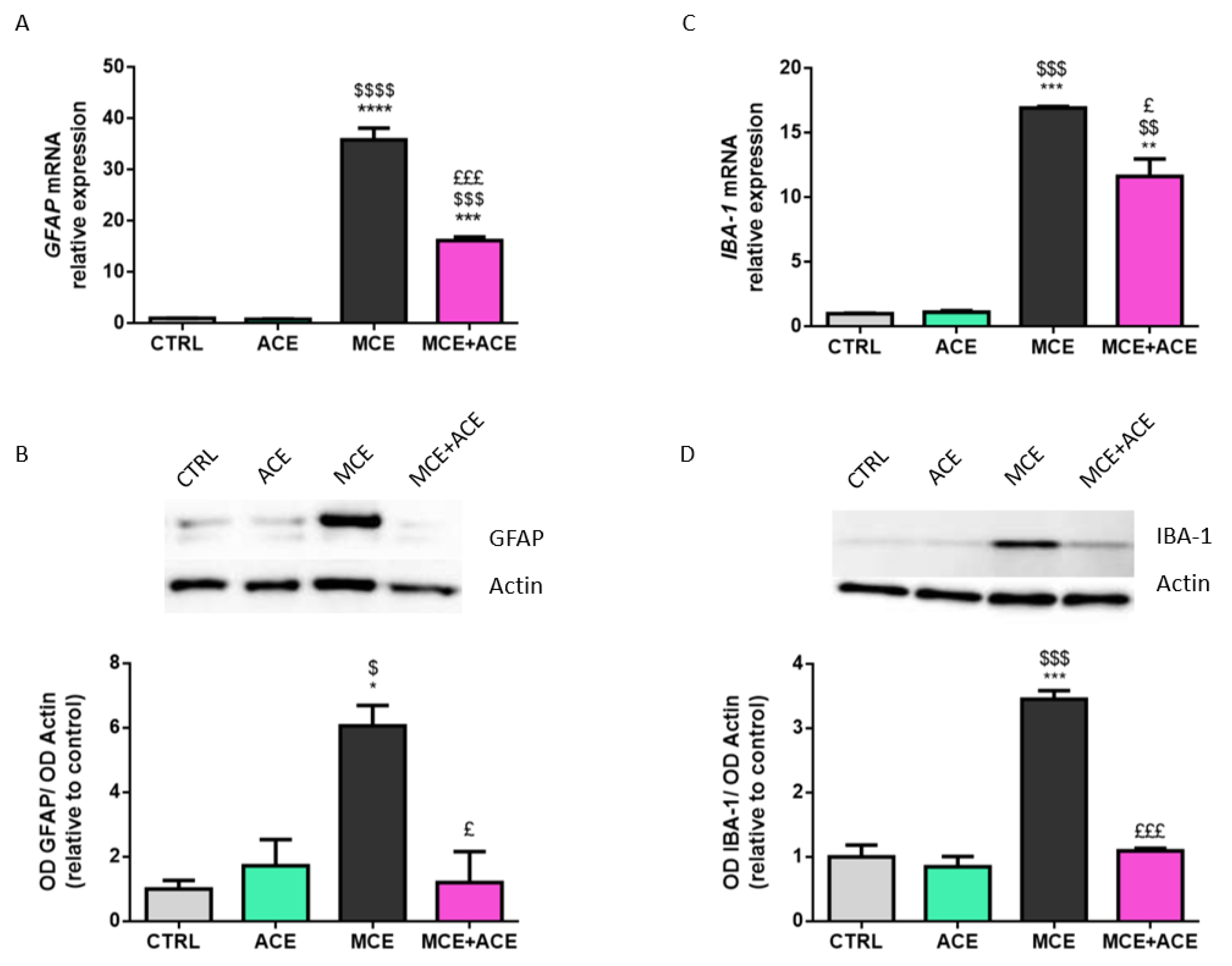 Nutrients 16 00409 g003