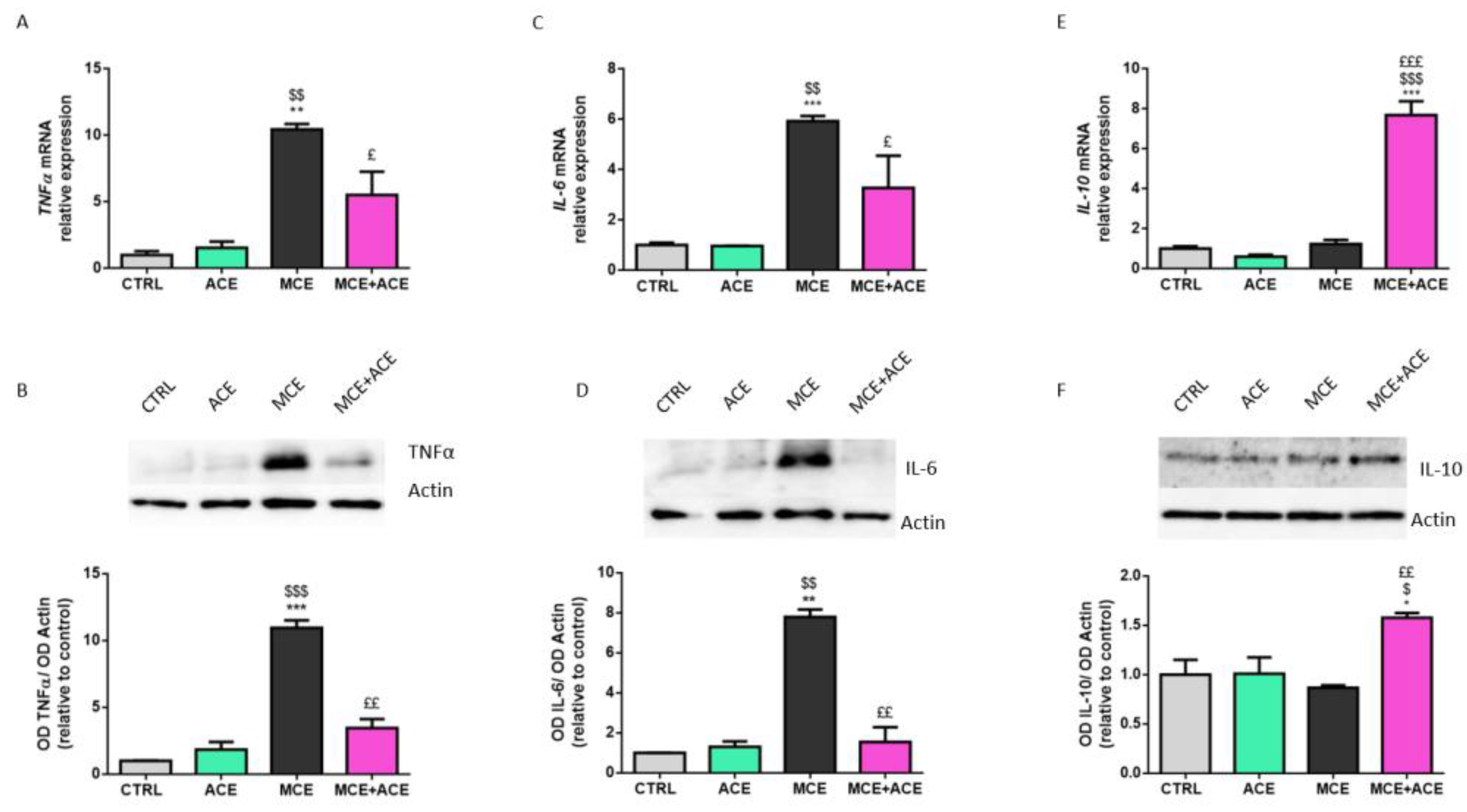 Nutrients 16 00409 g004