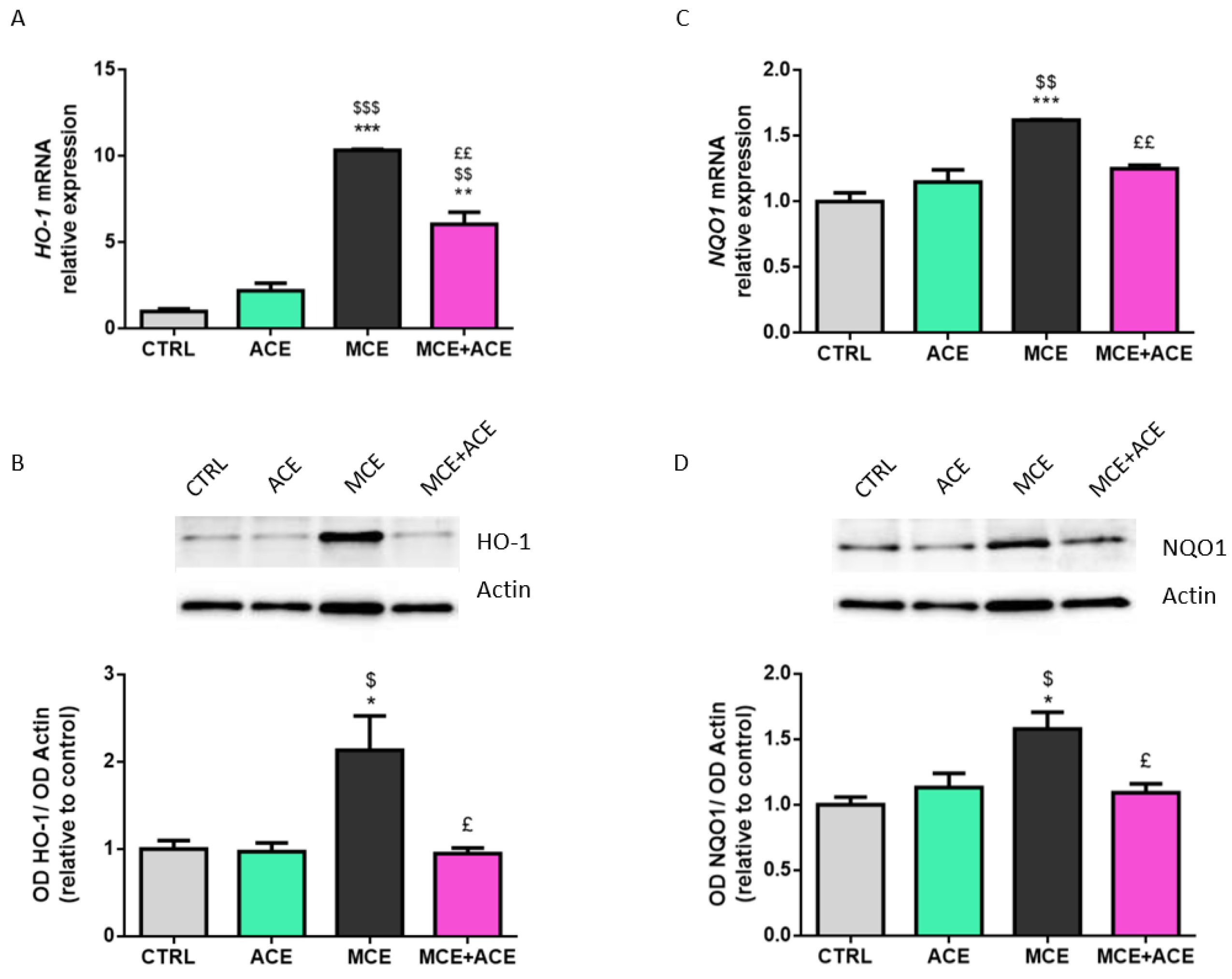 Nutrients 16 00409 g005