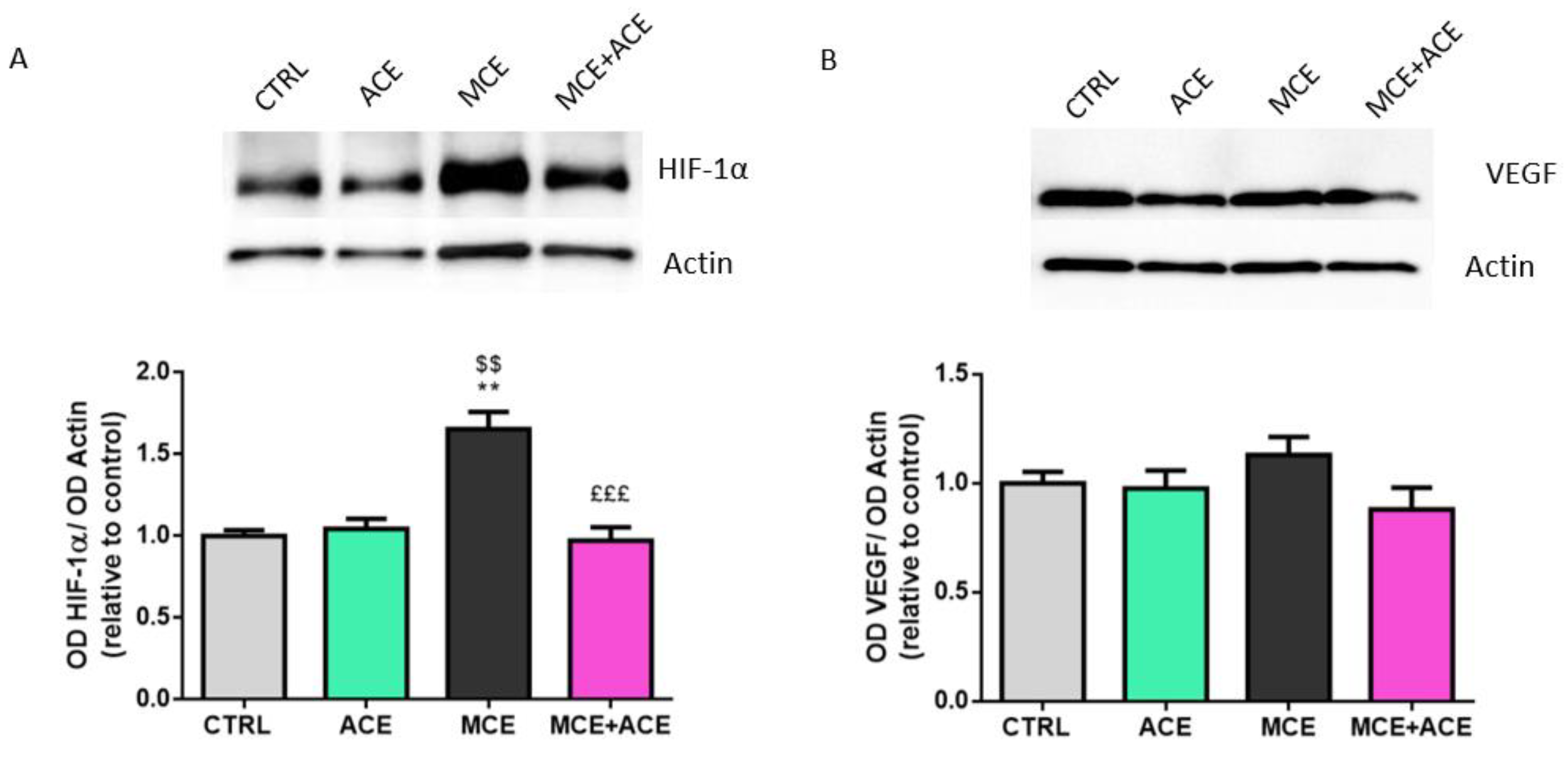 Nutrients 16 00409 g006
