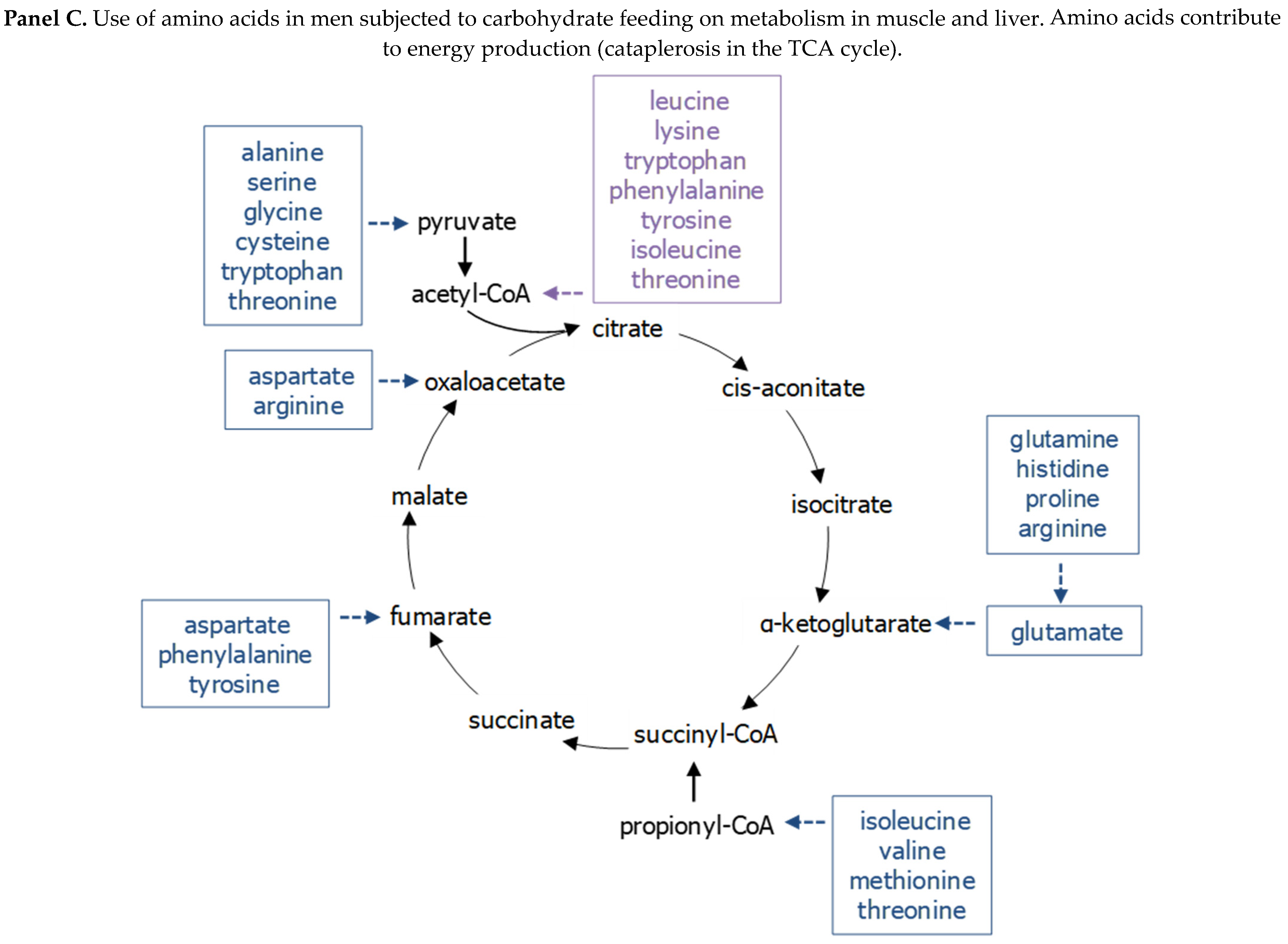 Nutrients 16 00410 g005b