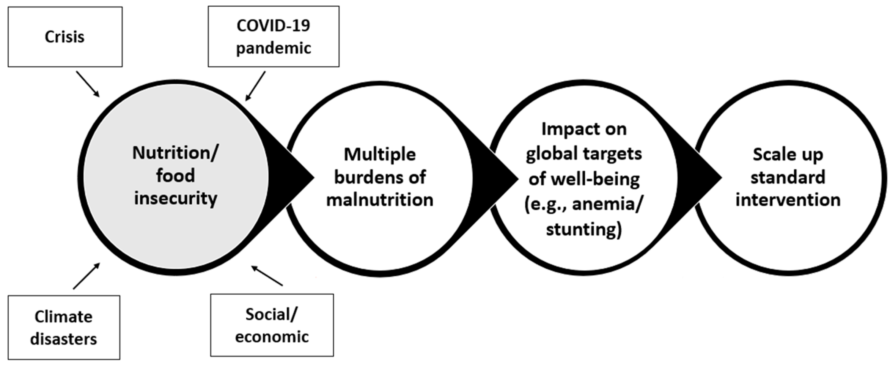 Nutrients 16 00421 g001
