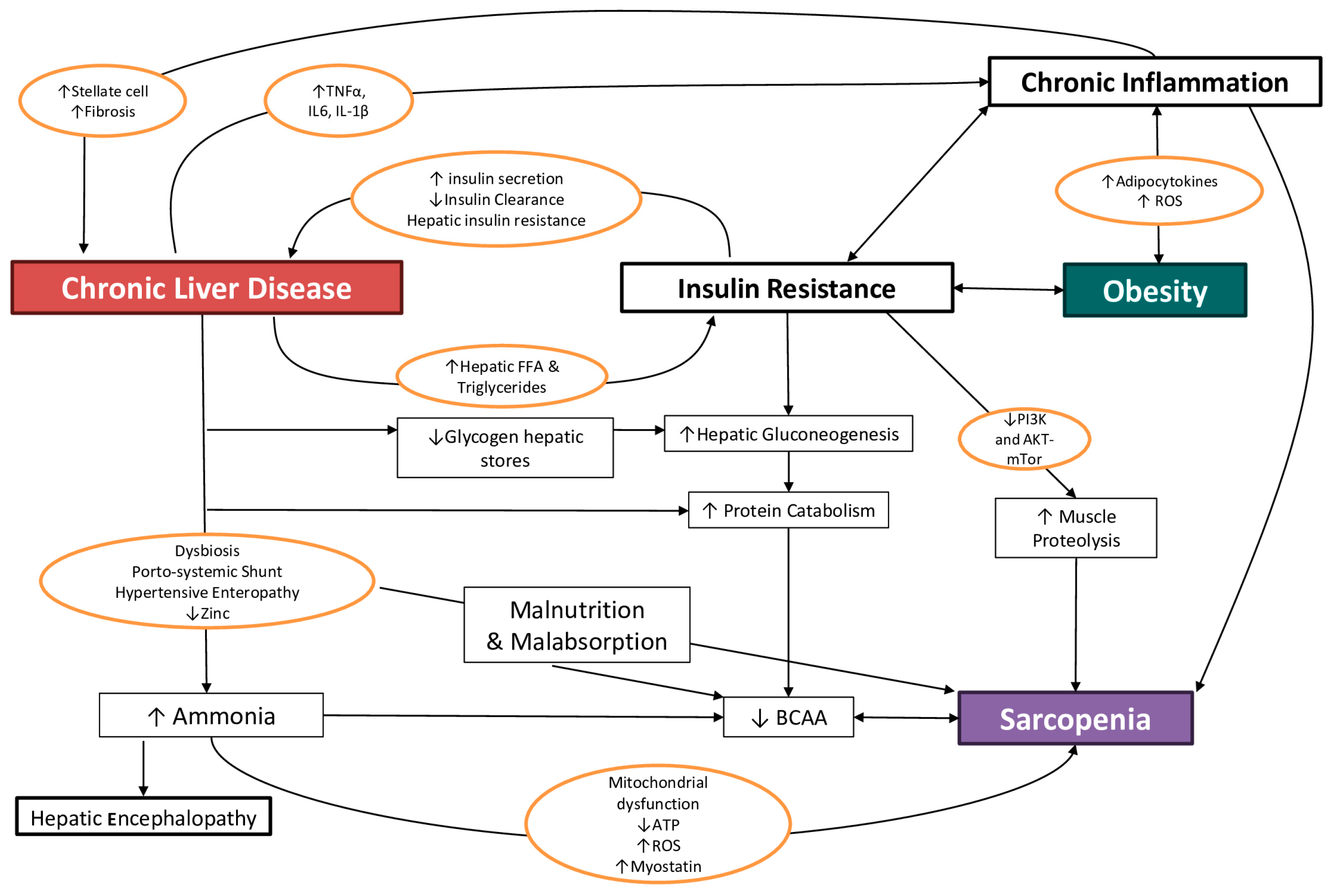 Unlocking the Power of the Mediterranean Diet: Study Reveals Biomarkers in Italians