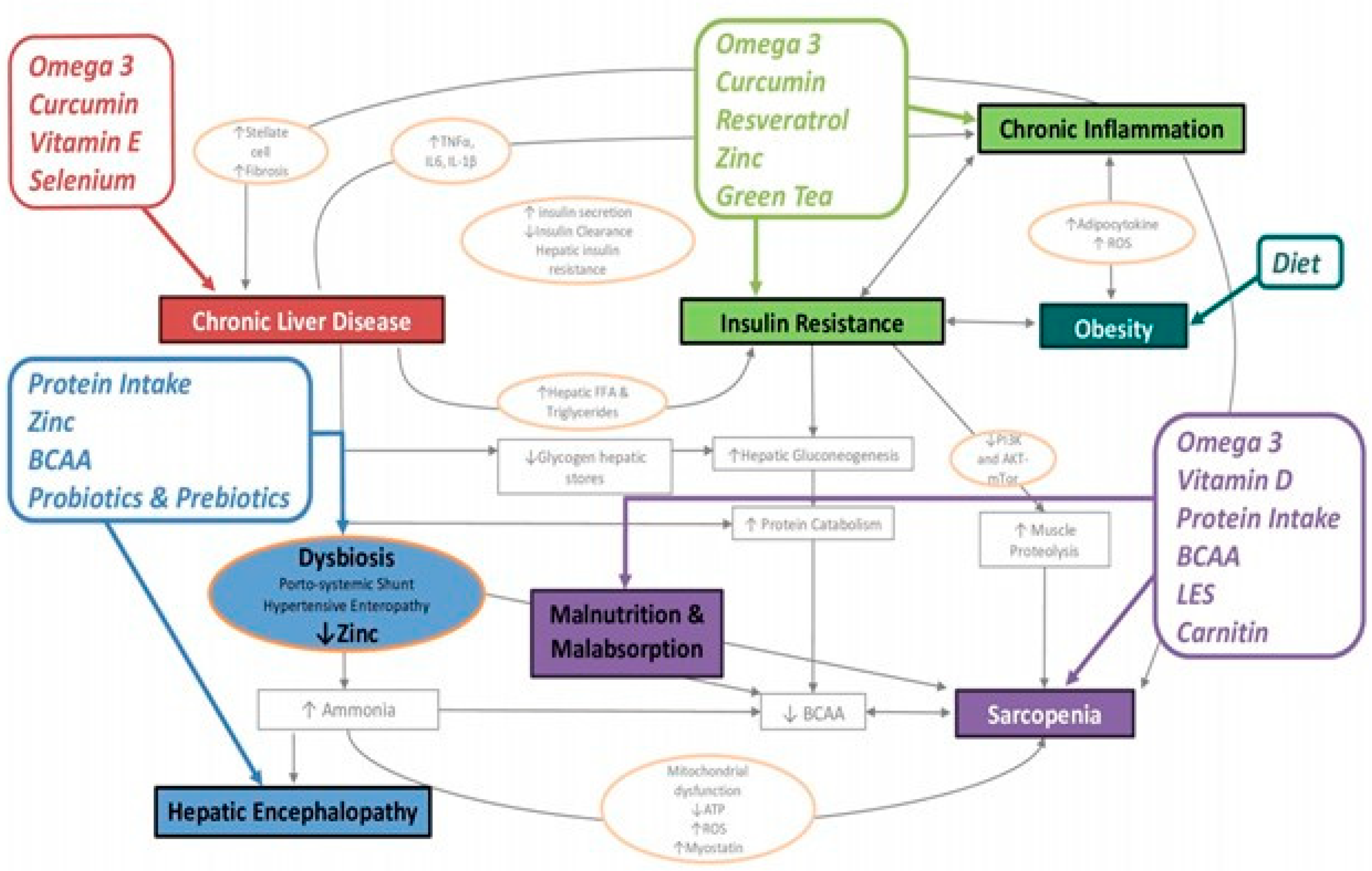 Nutrients 16 00427 g002 Nutrients 16 00427 g002