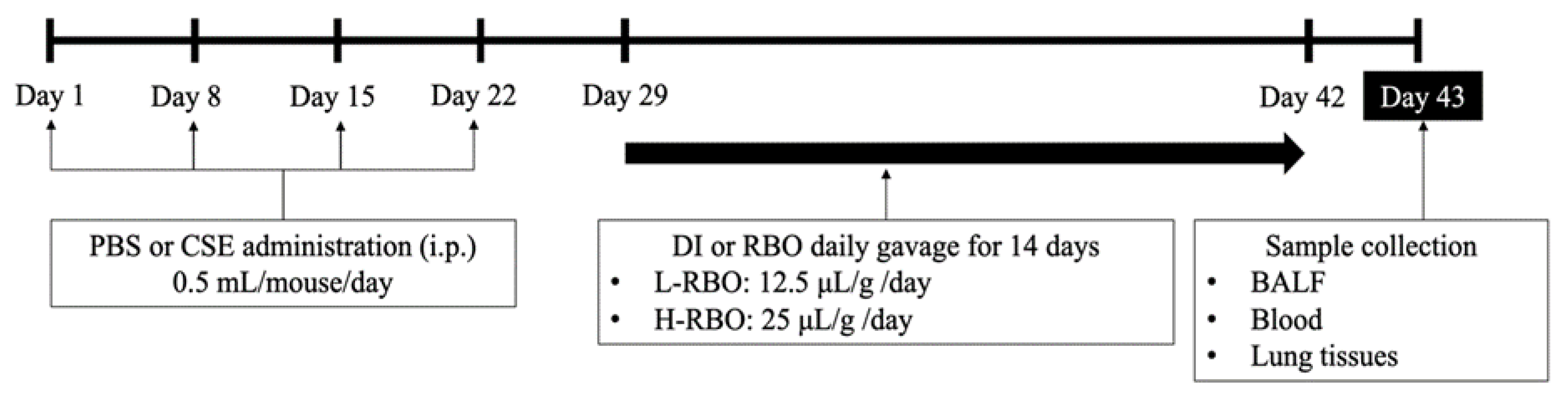 Nutrients 16 00433 g001