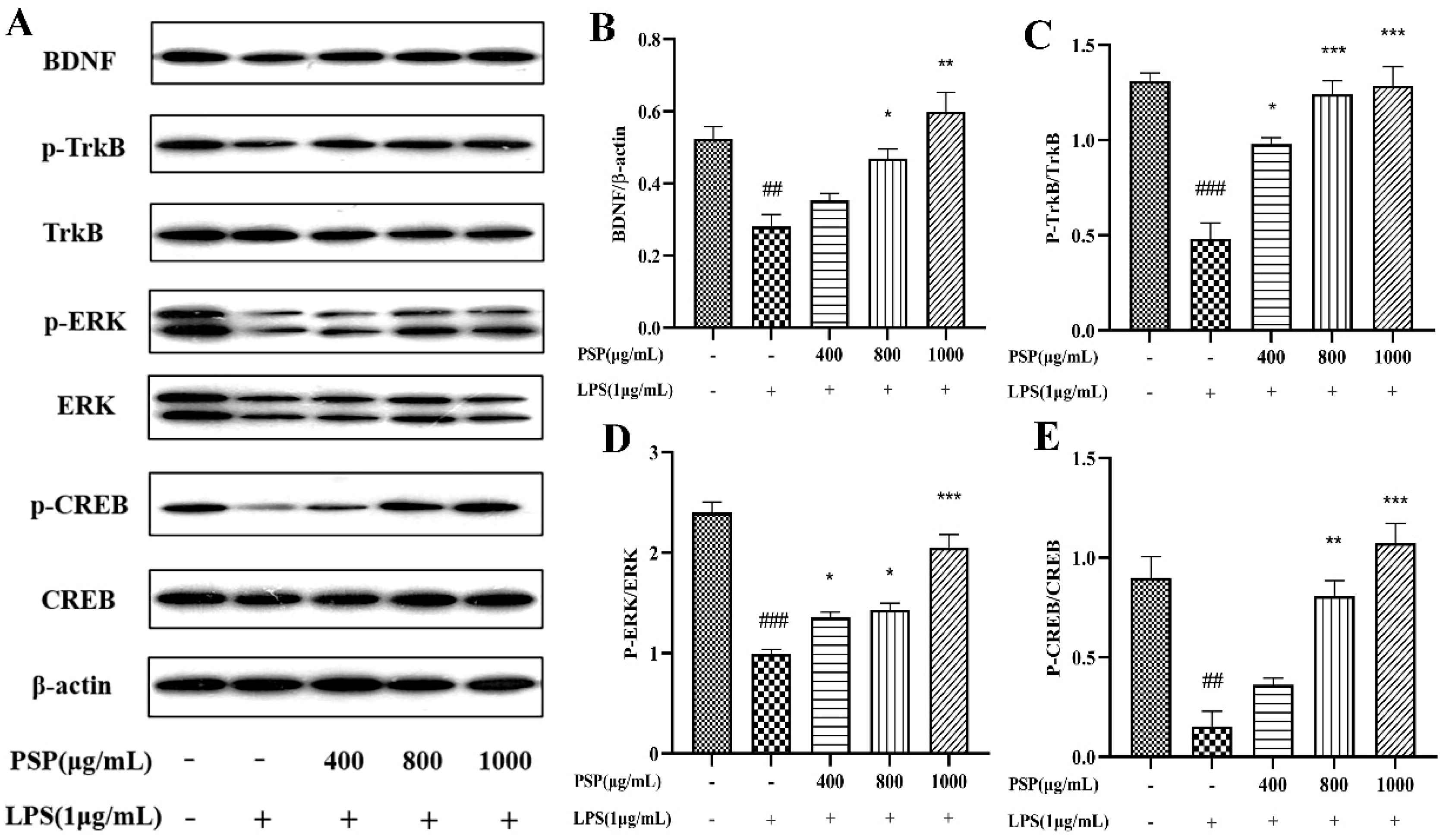 Nutrients 16 00438 g006