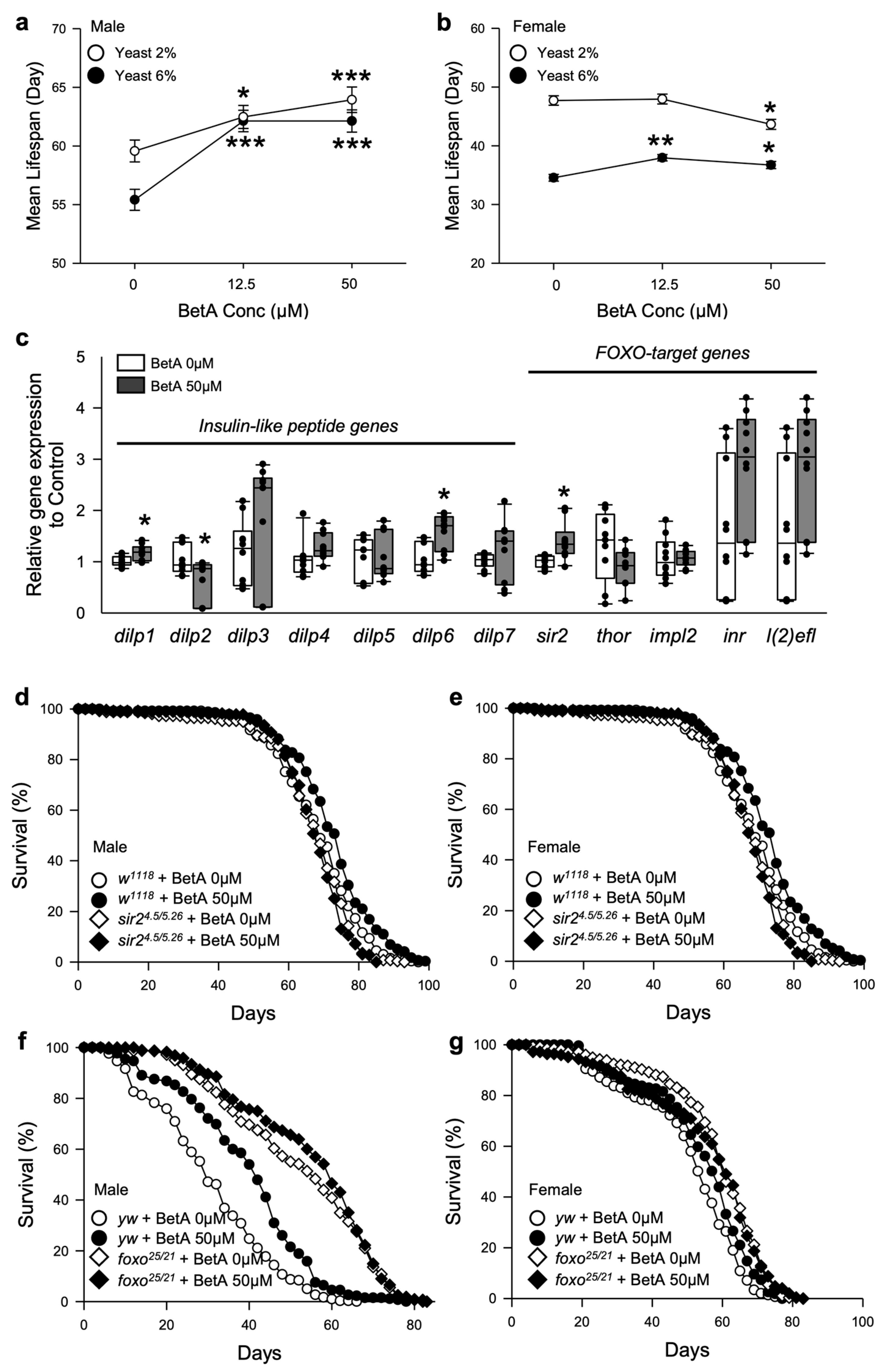 Nutrients 16 00441 g005