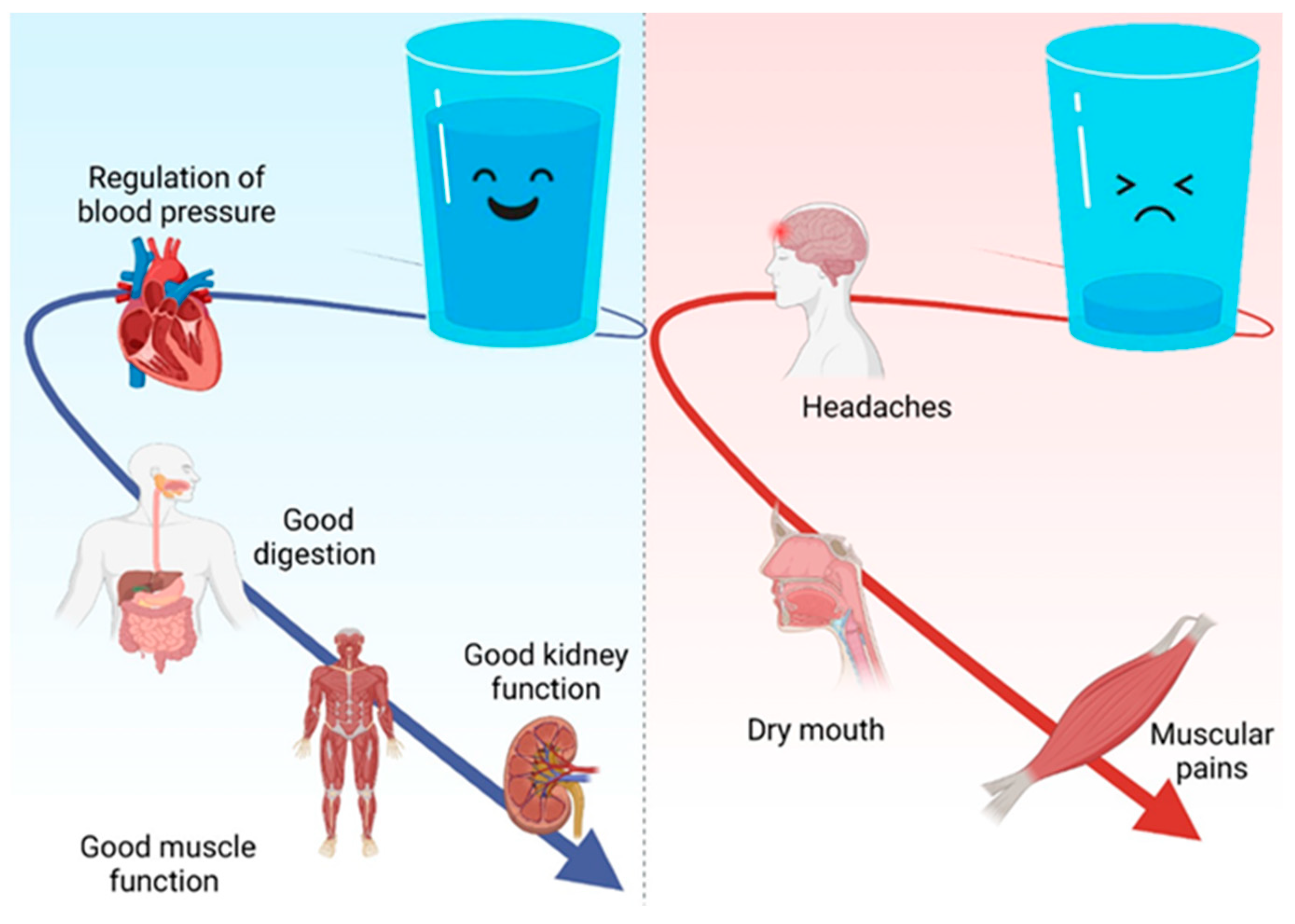 Nutrients 16 00446 g002