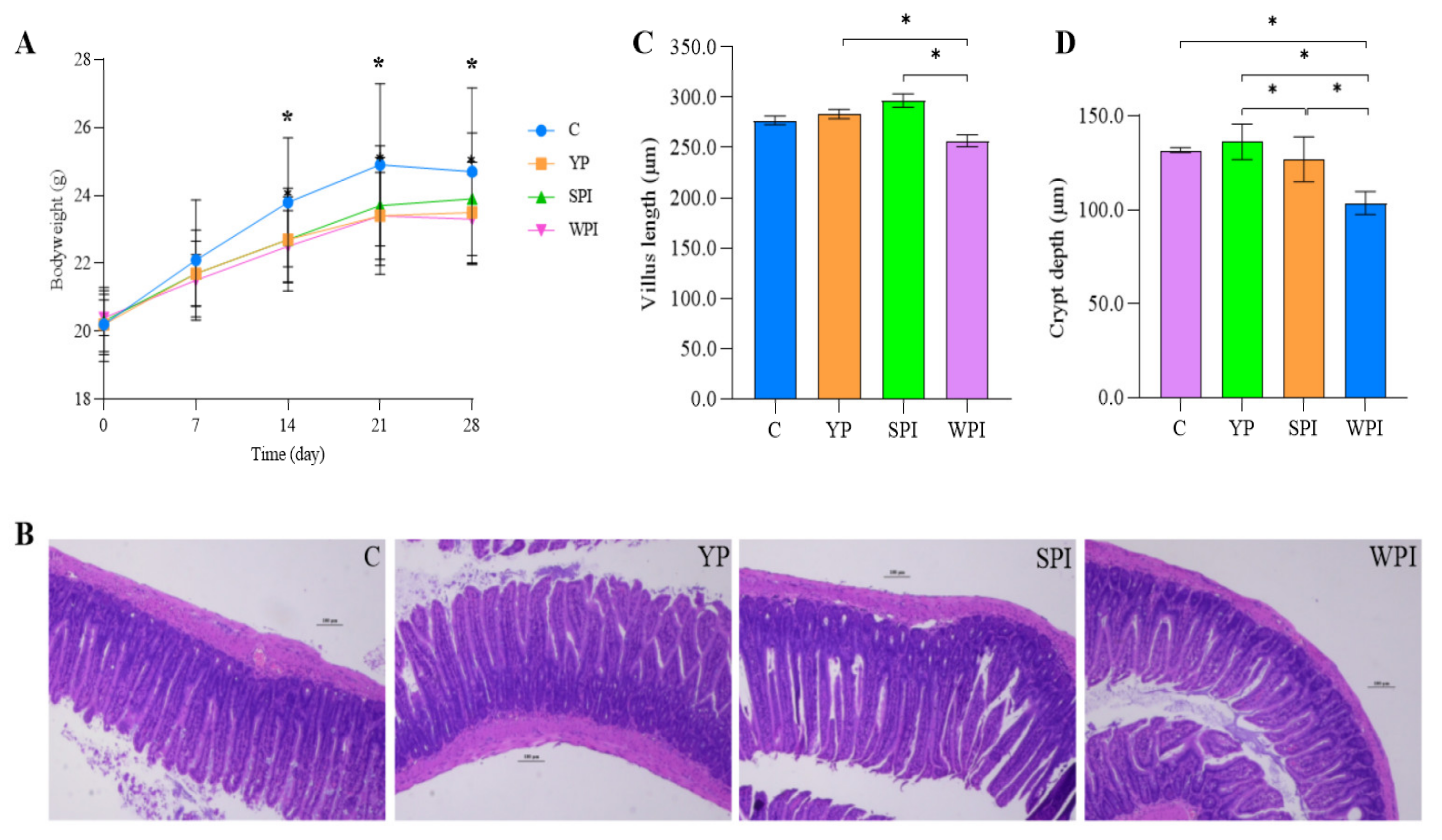 Nutrients 16 00458 g001