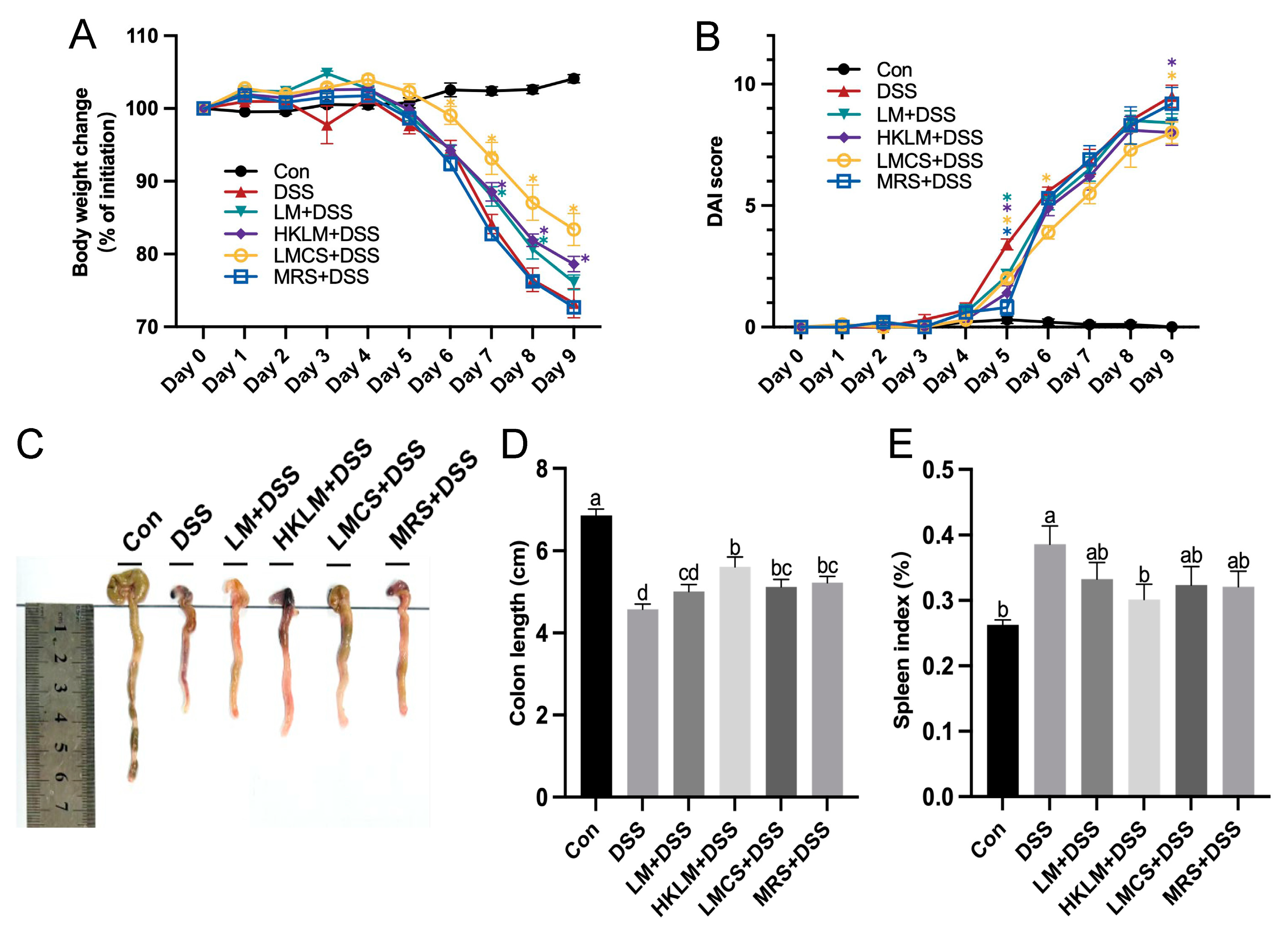Nutrients 16 00468 g001 Nutrients 16 00468 g001