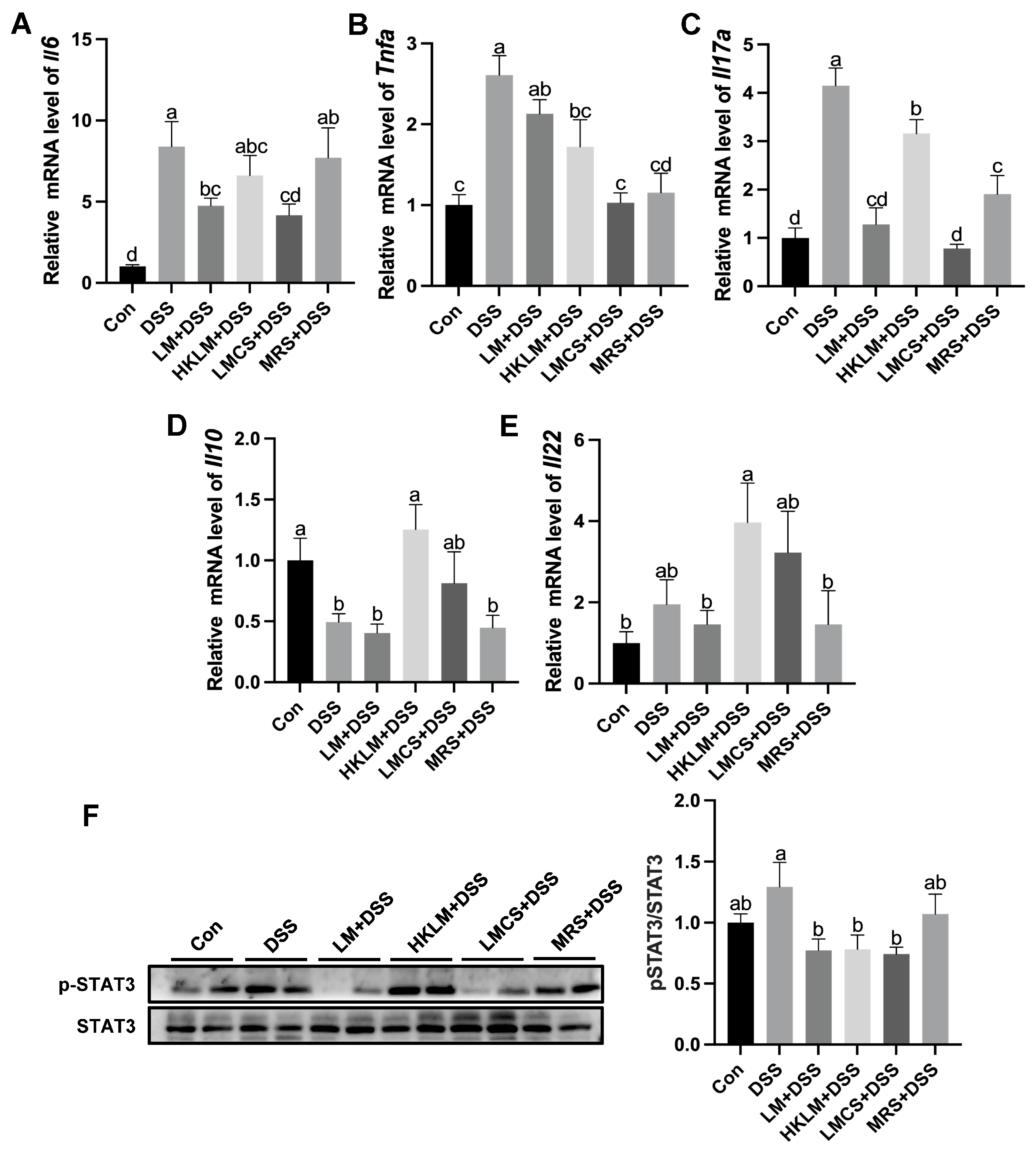 Nutrients 16 00468 g002 Nutrients 16 00468 g002