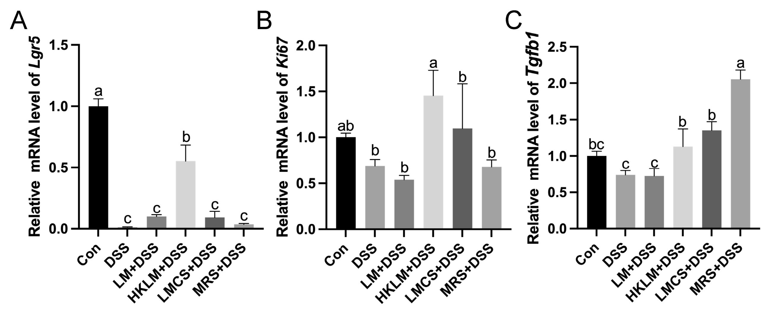 Nutrients 16 00468 g004 Nutrients 16 00468 g004