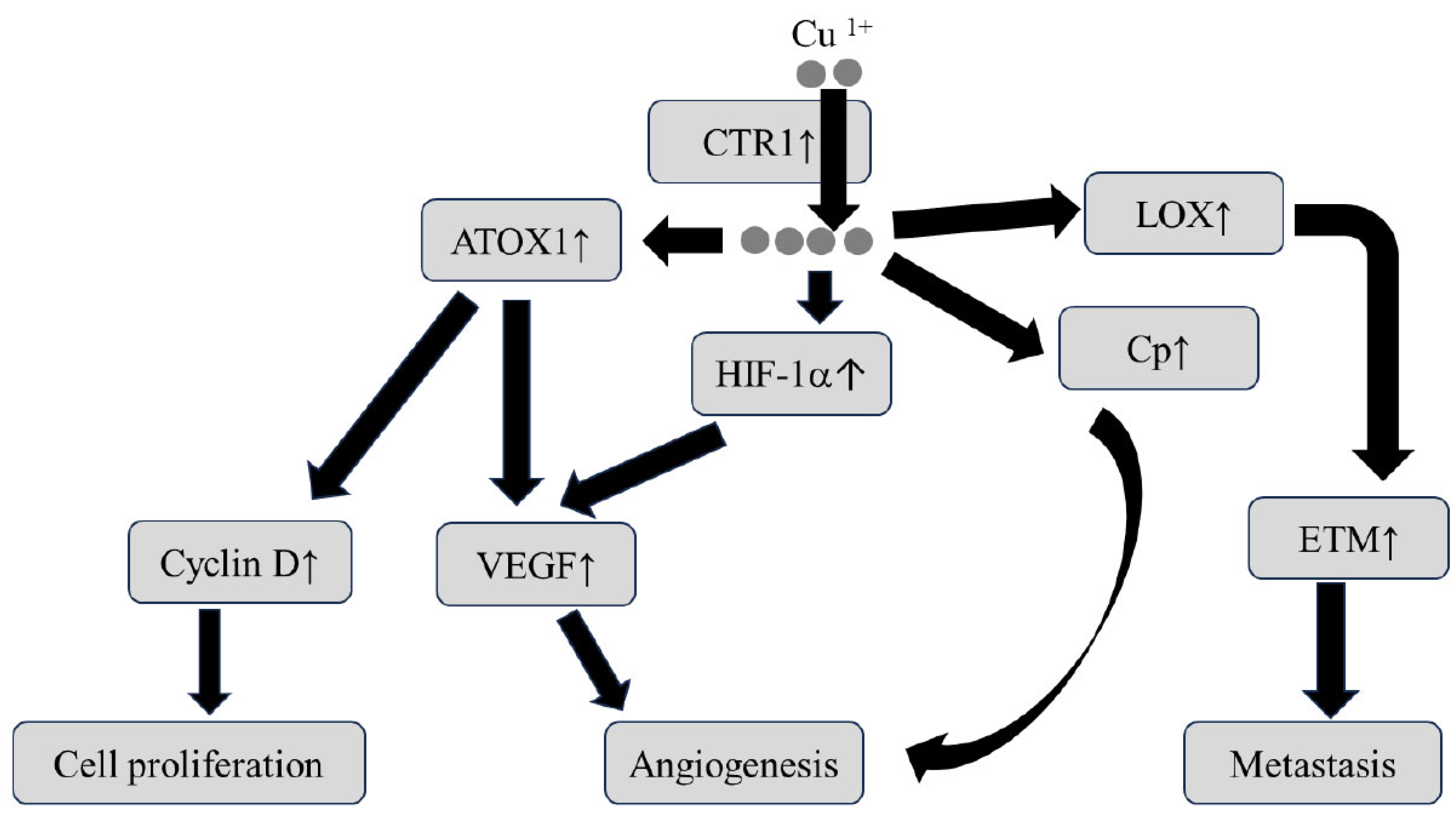 Nutrients 16 00472 g002
