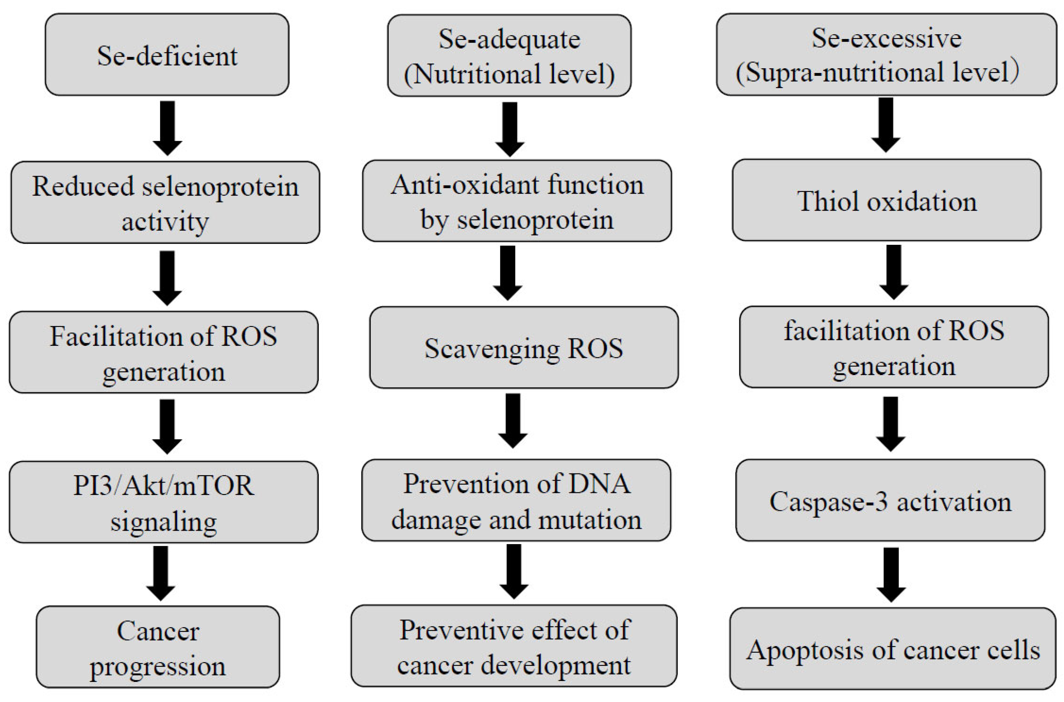 Nutrients 16 00472 g003