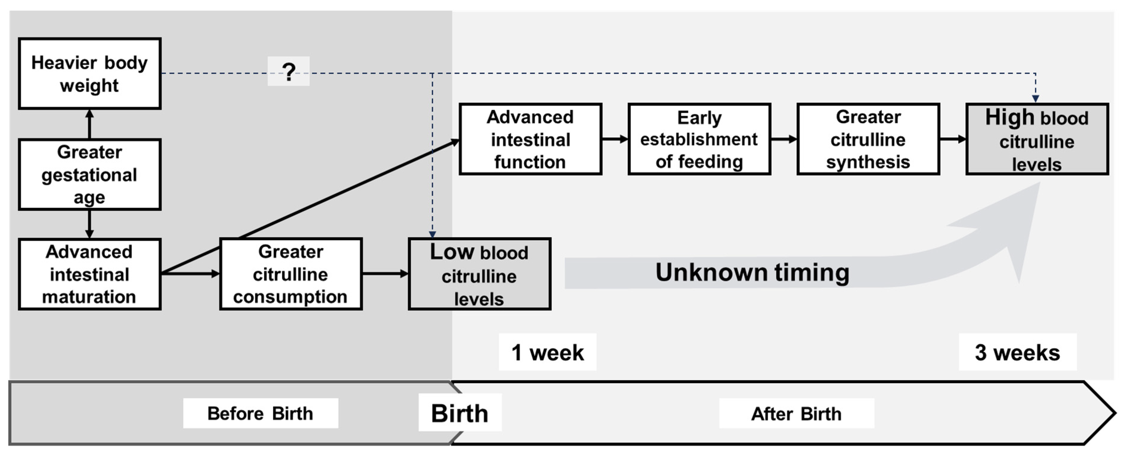 Nutrients 16 00476 g003