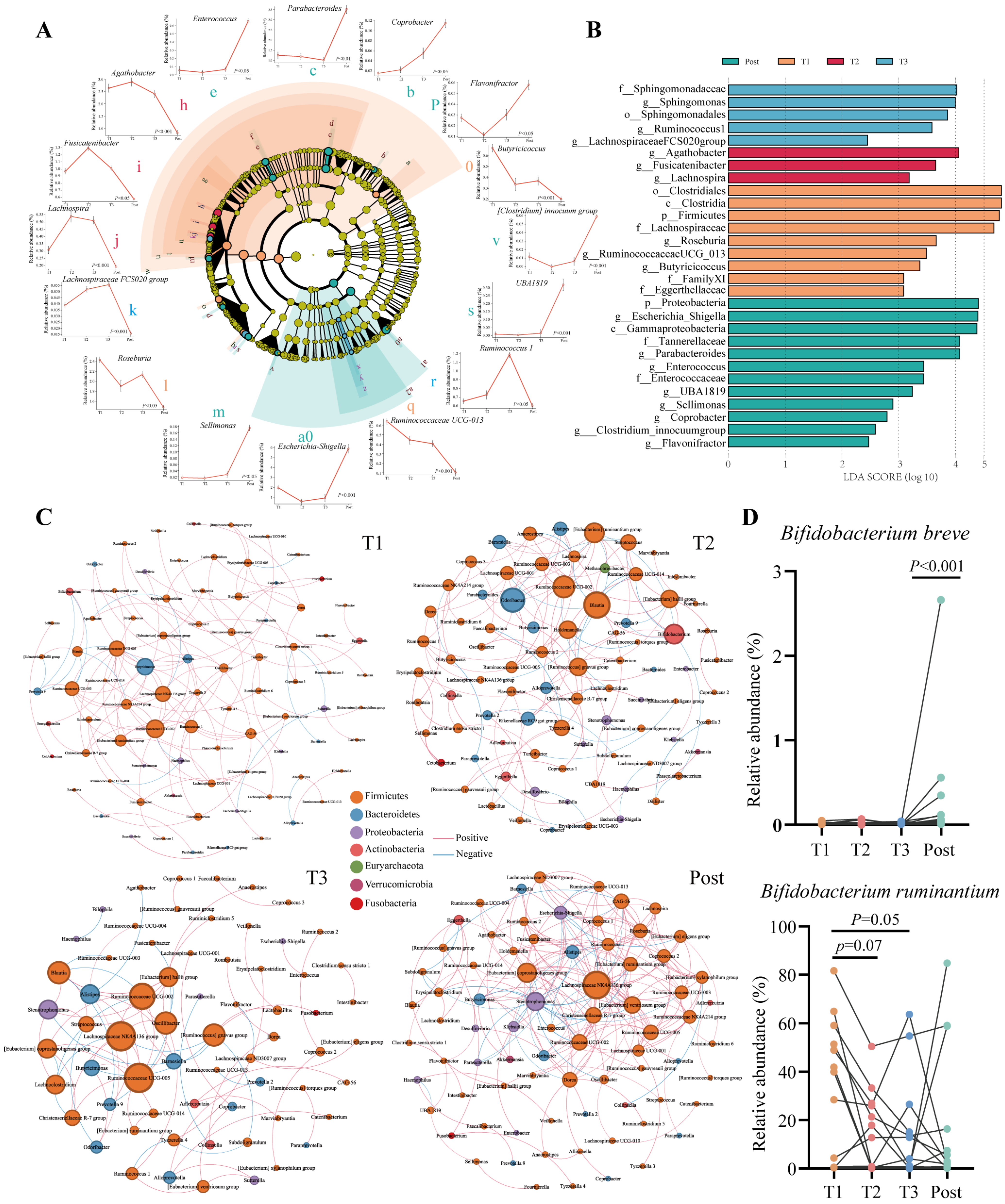 Nutrients 16 00483 g002