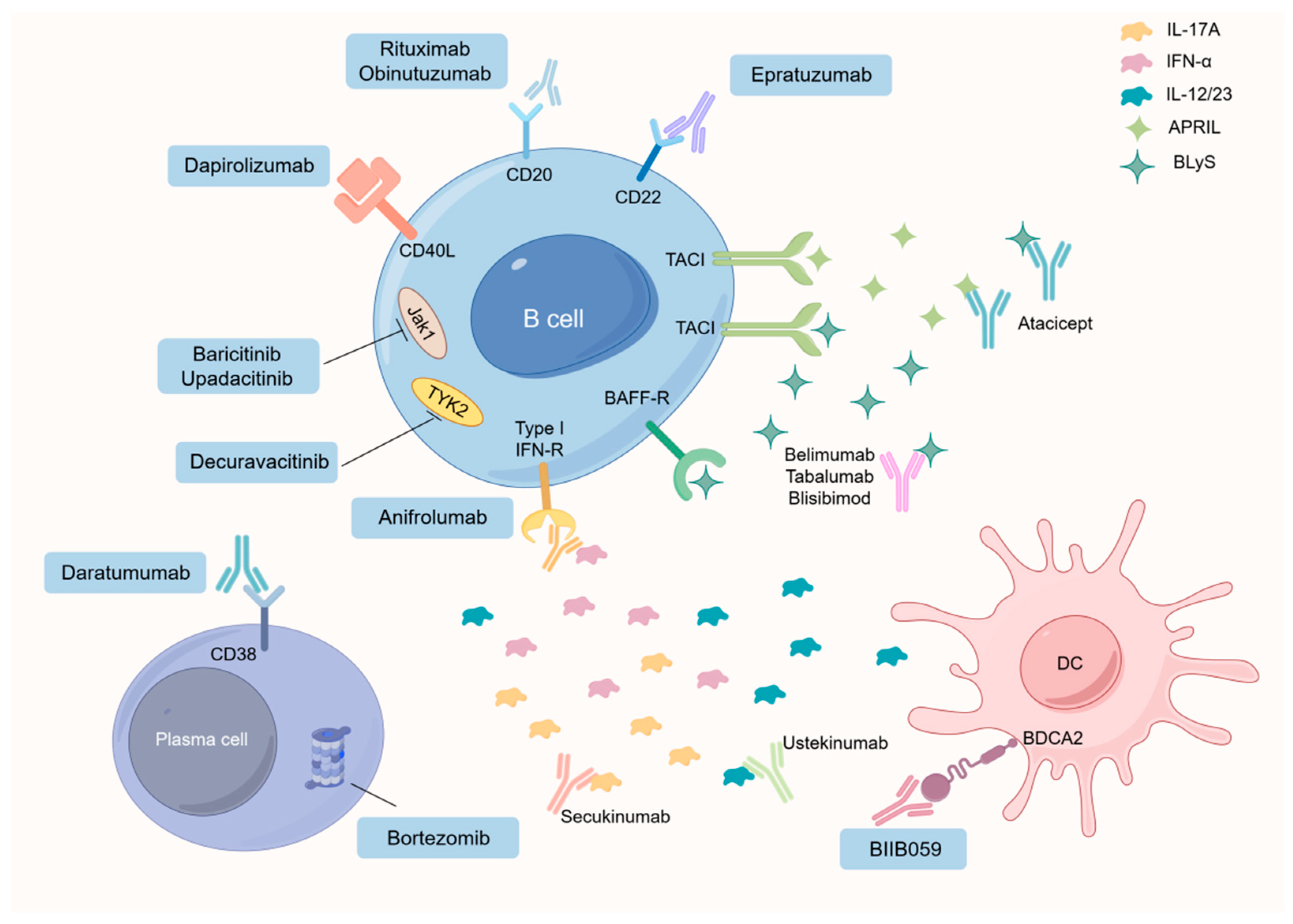 Nutrients 16 00487 g001