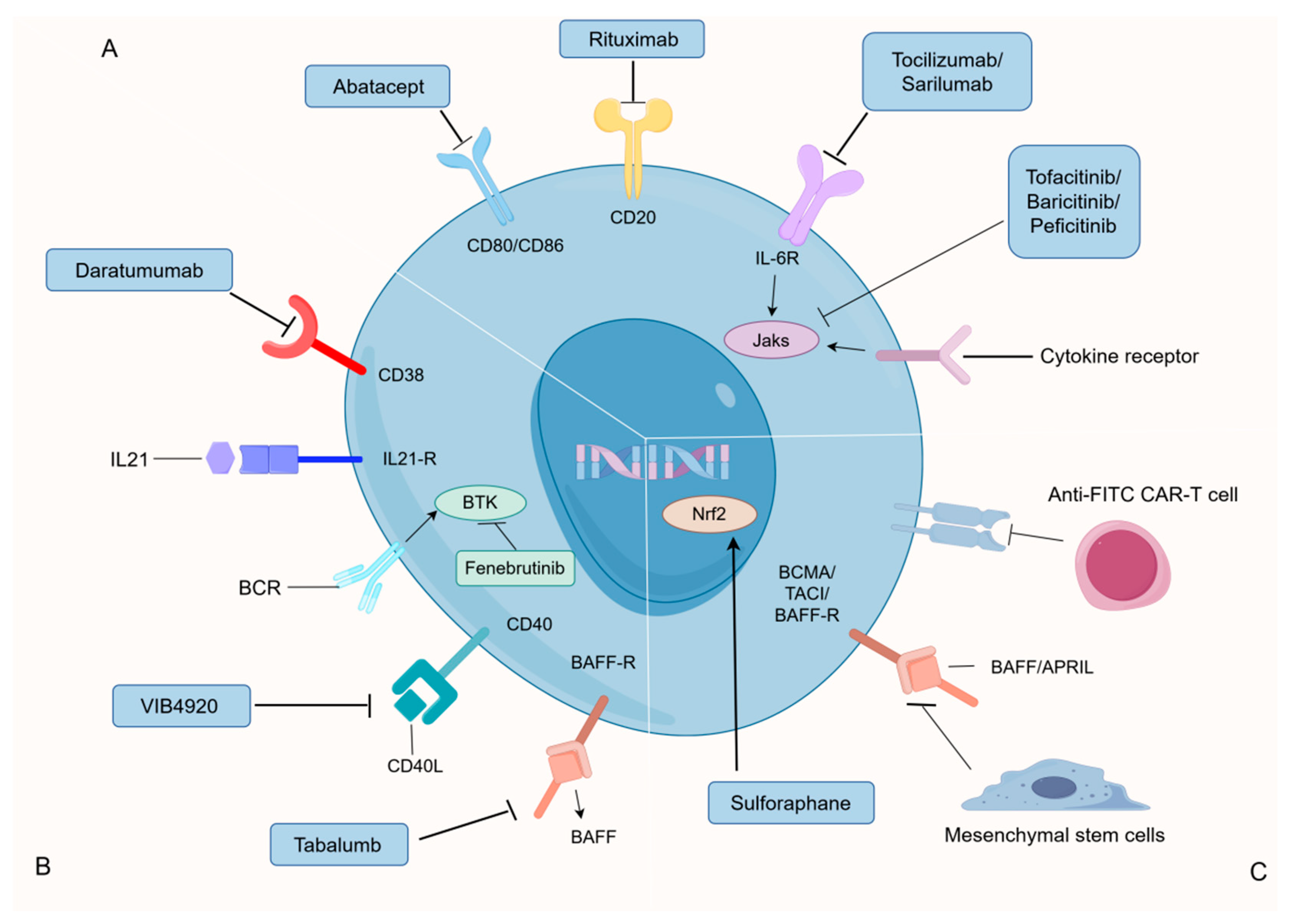 Nutrients 16 00487 g003