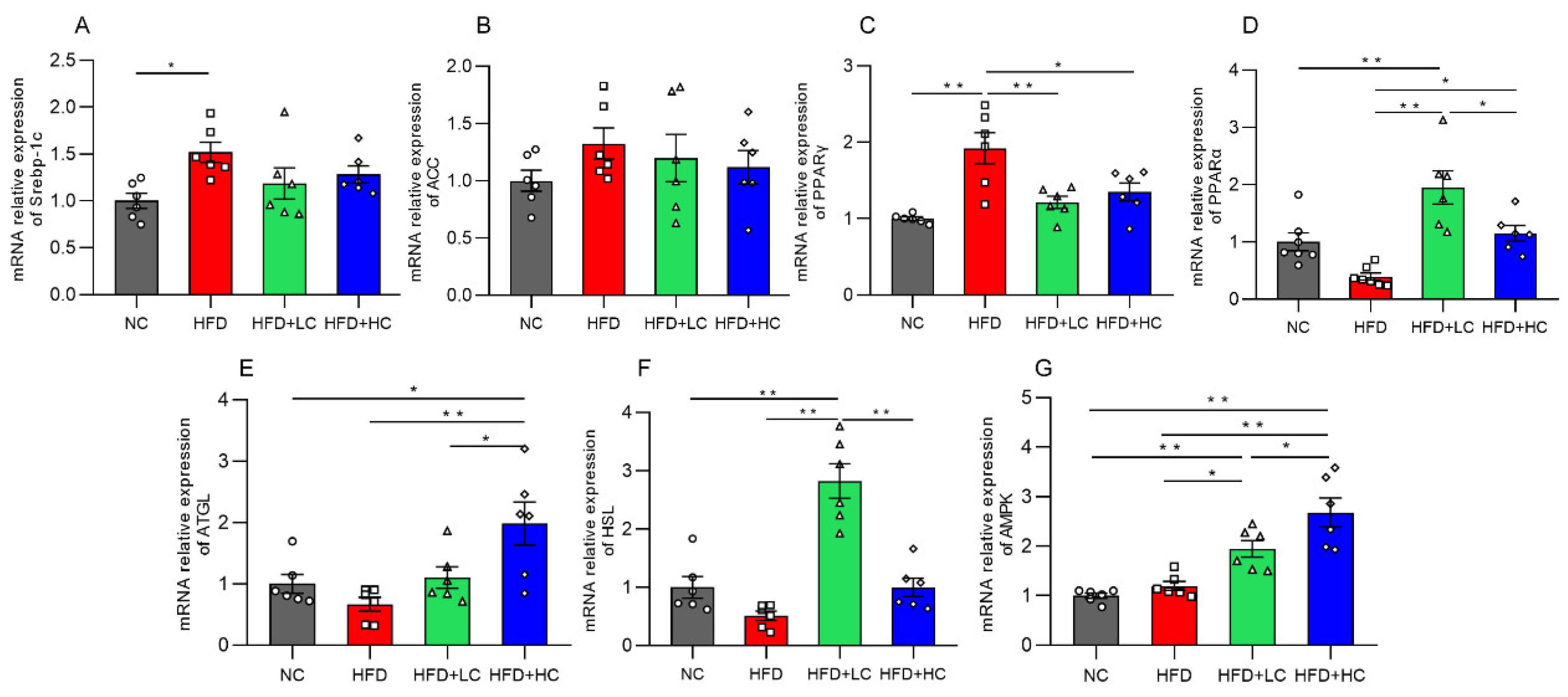 Nutrients 16 00493 g006