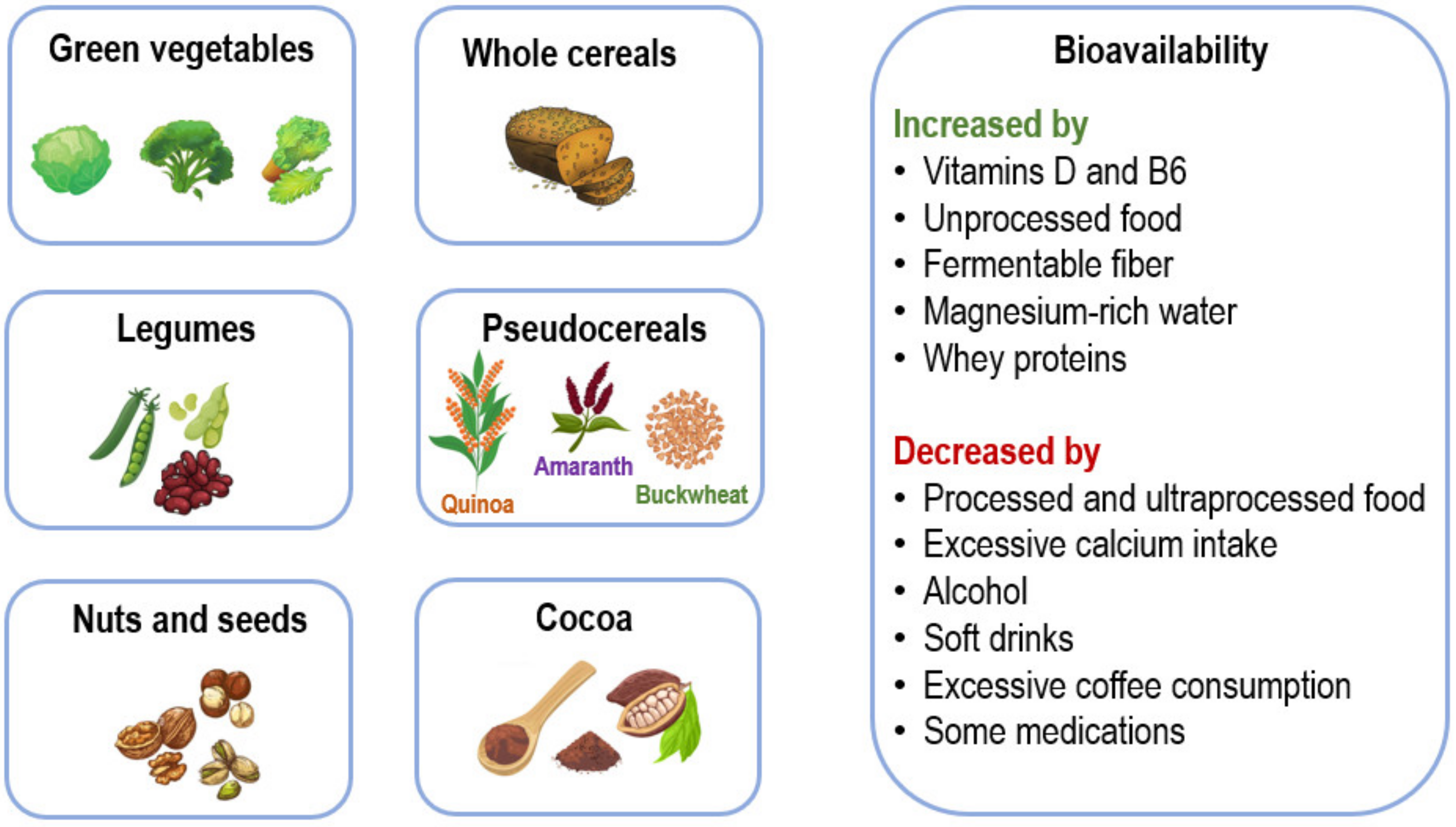Nutrients 16 00496 g003 Nutrients 16 00496 g003