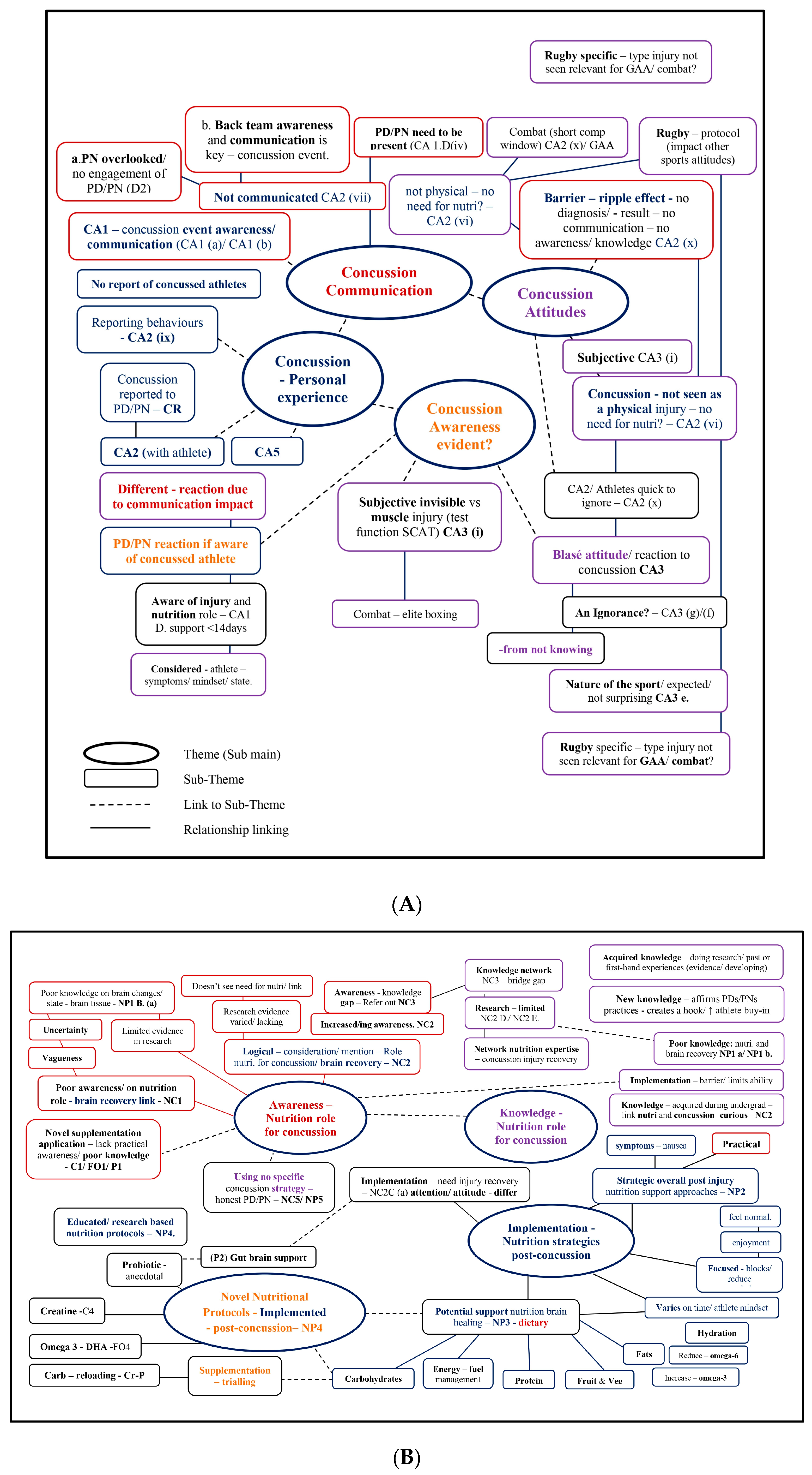 Nutrients 16 00497 g001
