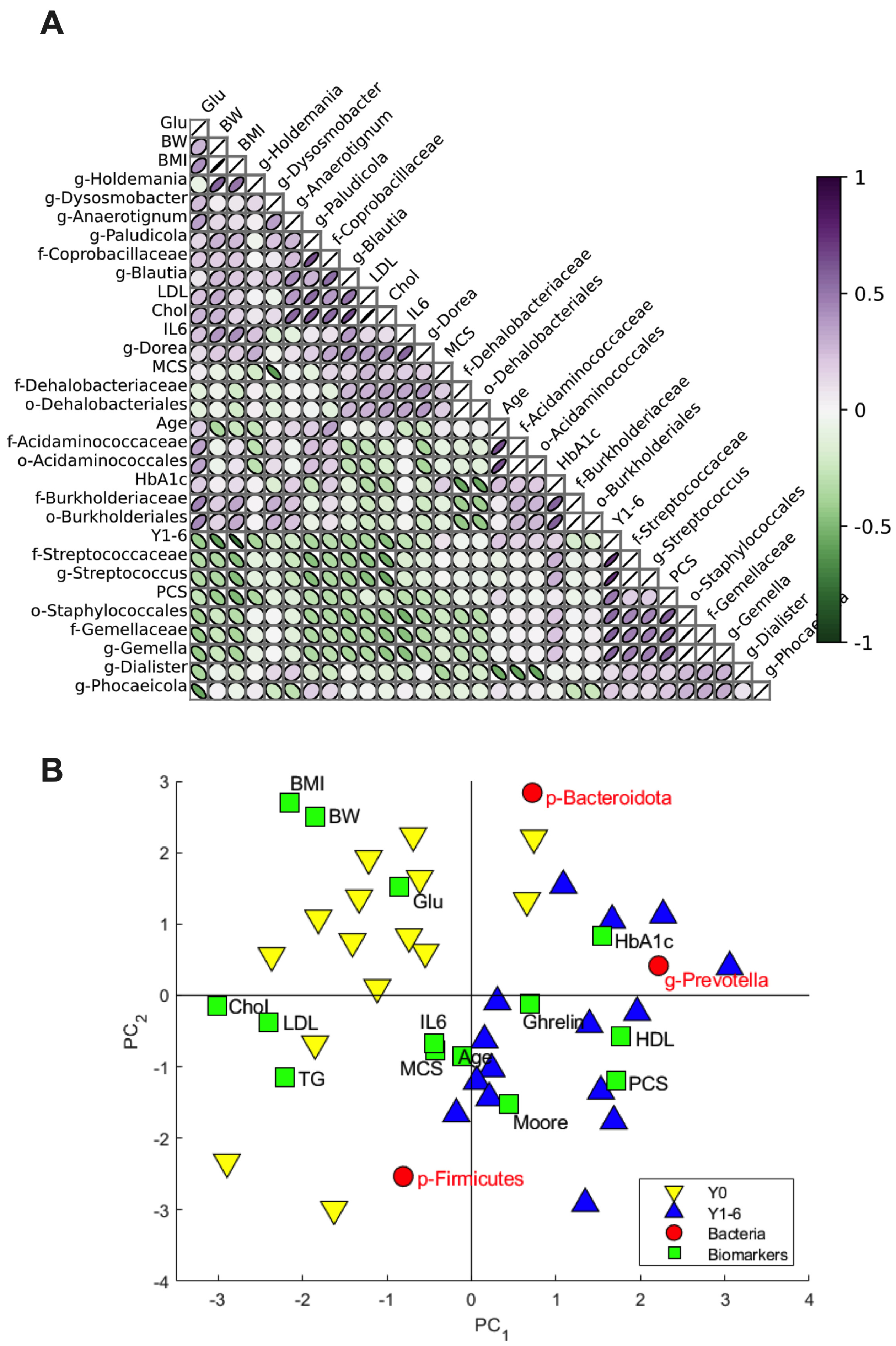 Nutrients 16 00498 g003