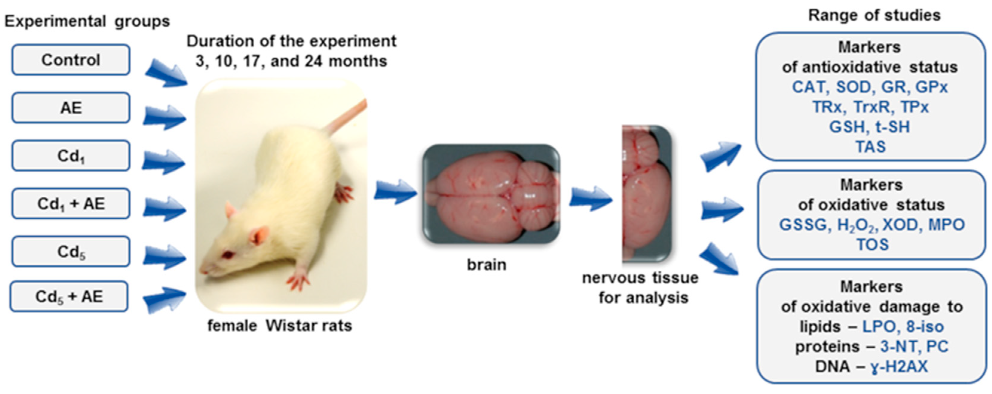 Nutrients 16 00502 g001