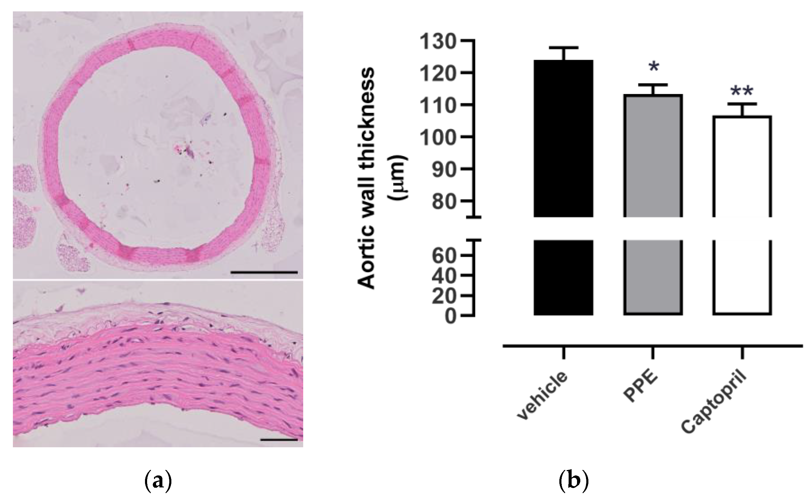 Nutrients 16 00506 g005