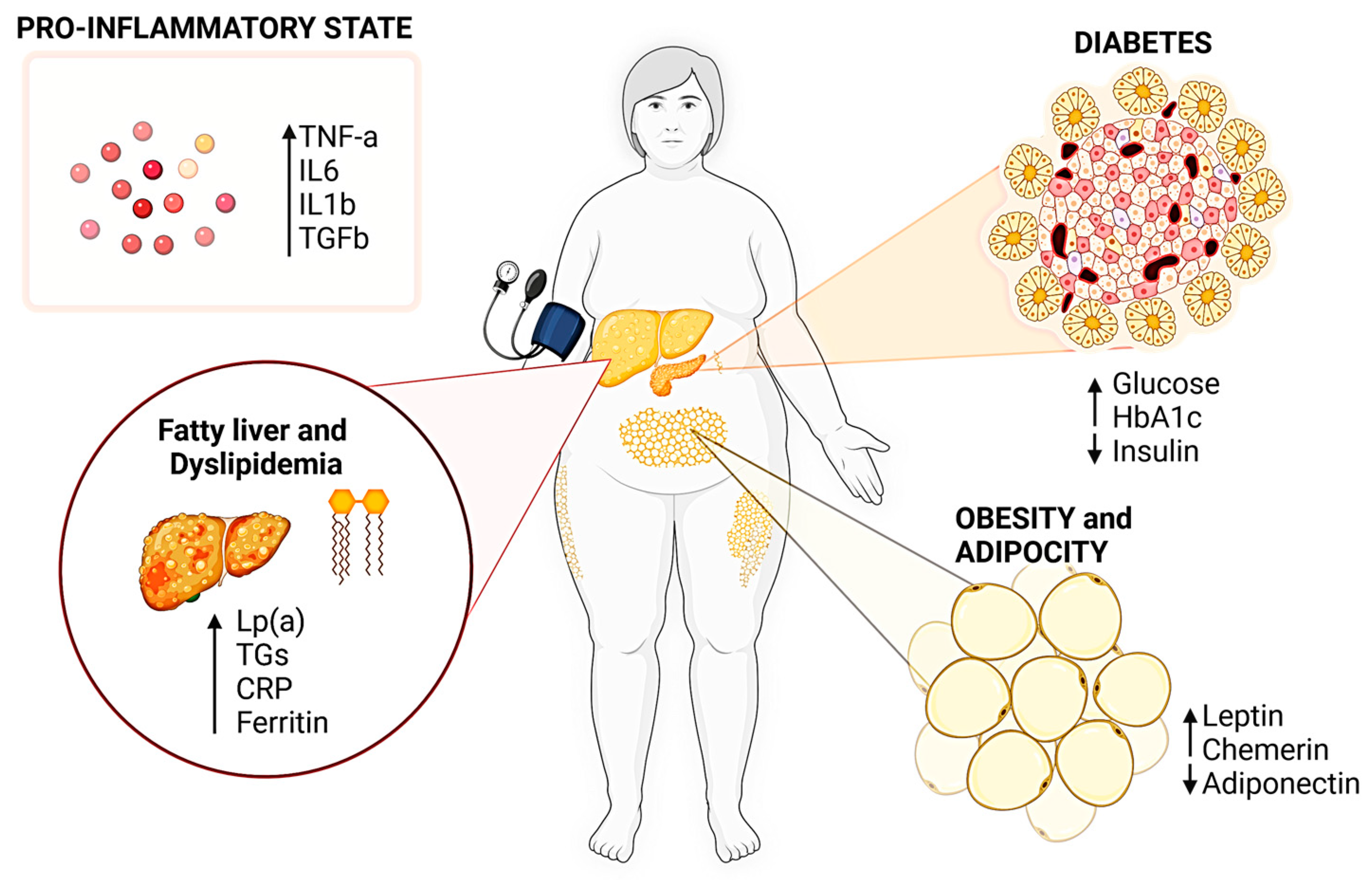 Nutrients 16 00507 g001